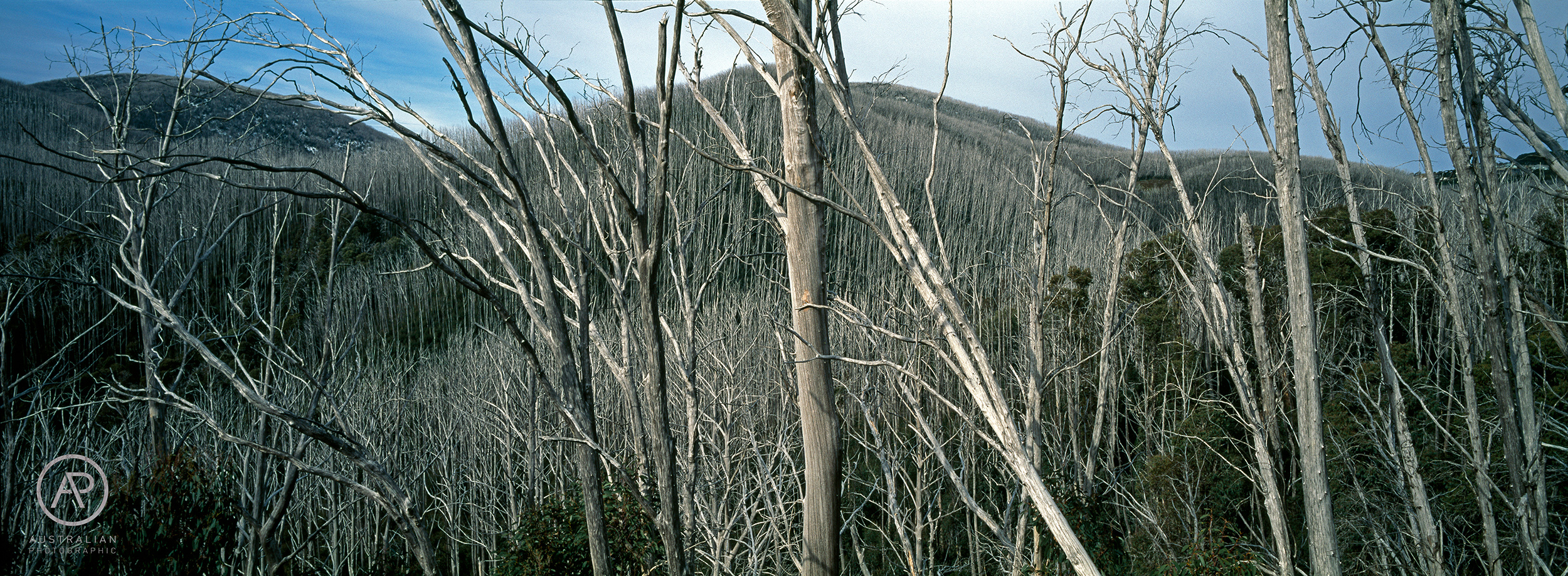 FUJIFILM VELVIA 50 26 AP.jpg