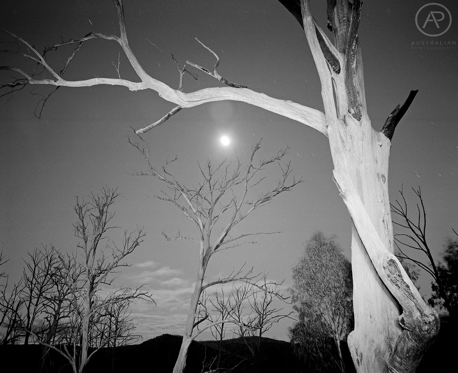 ILFORD DELTA 100 01 AP.jpg
