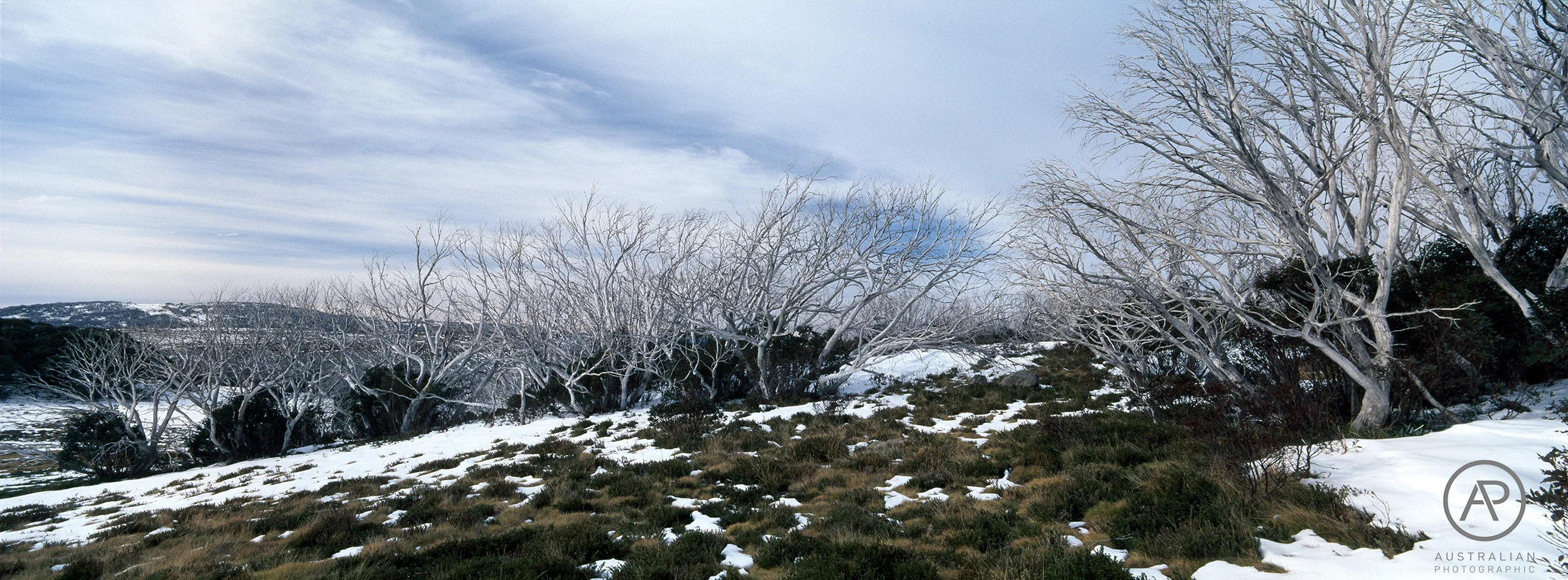 FUJIFILM VELVIA 50 30 AP.jpg