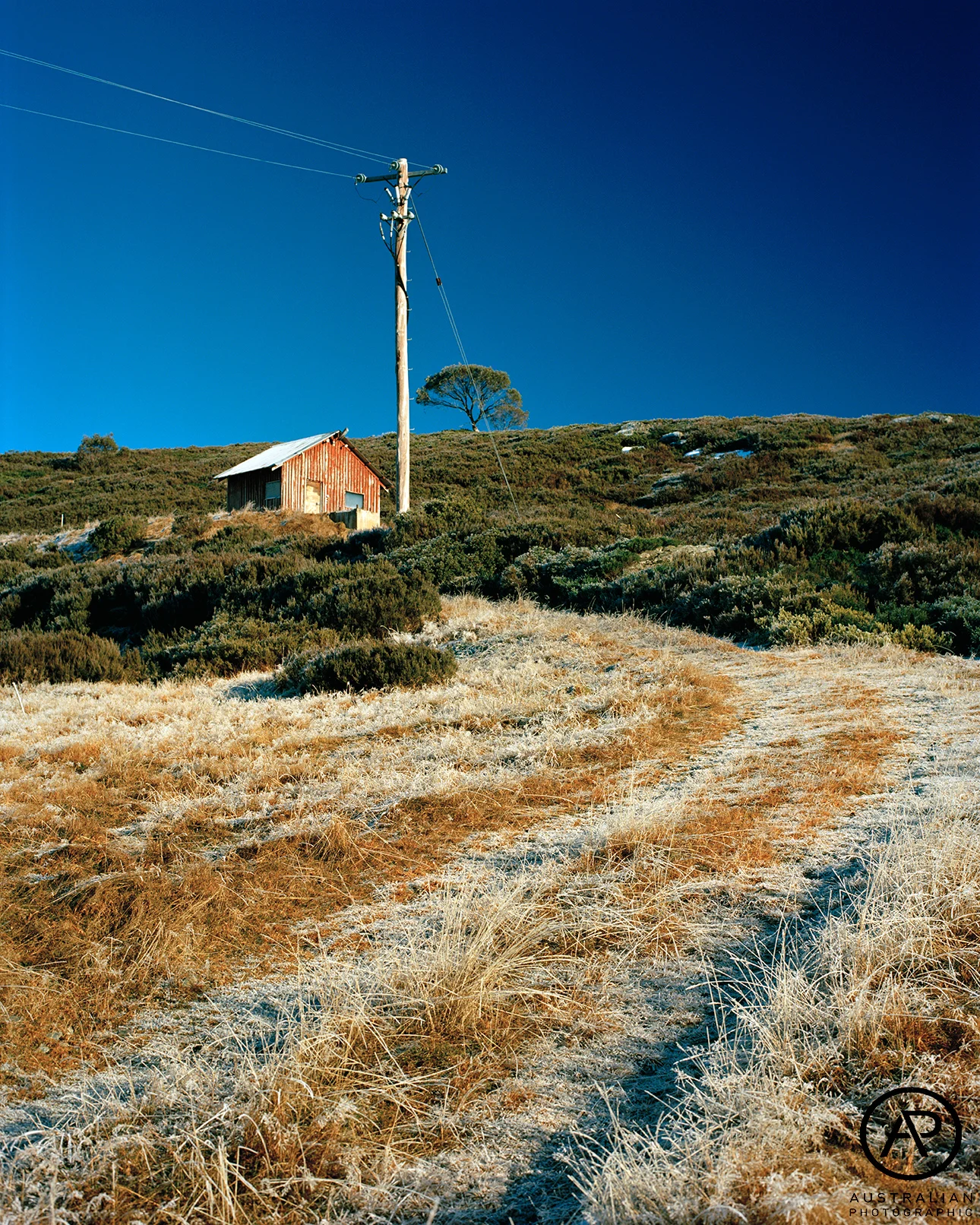 KODAK EKTAR 100 05 AP.jpg