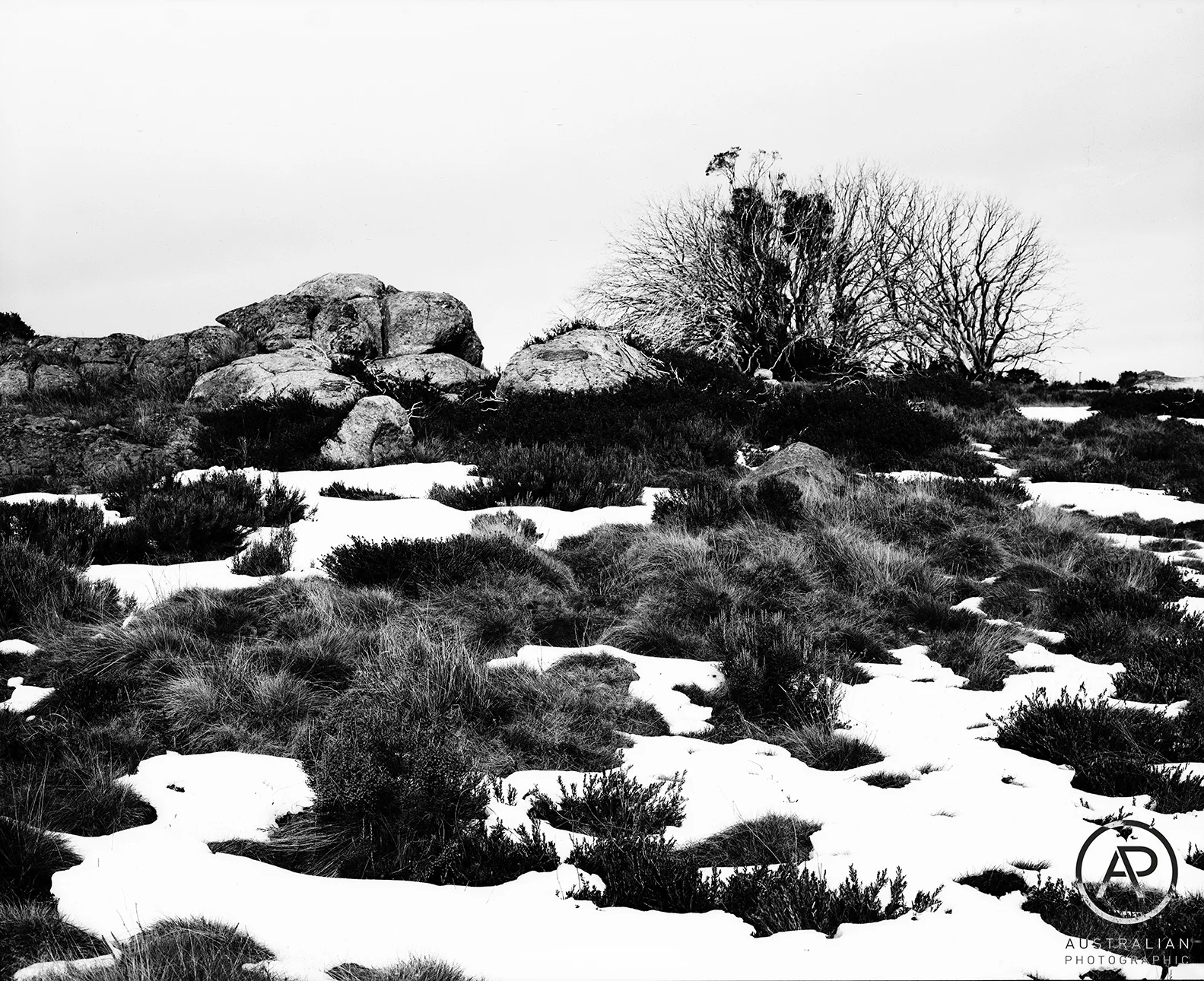 ROLLEI ATP 2.1 01 AP.jpg