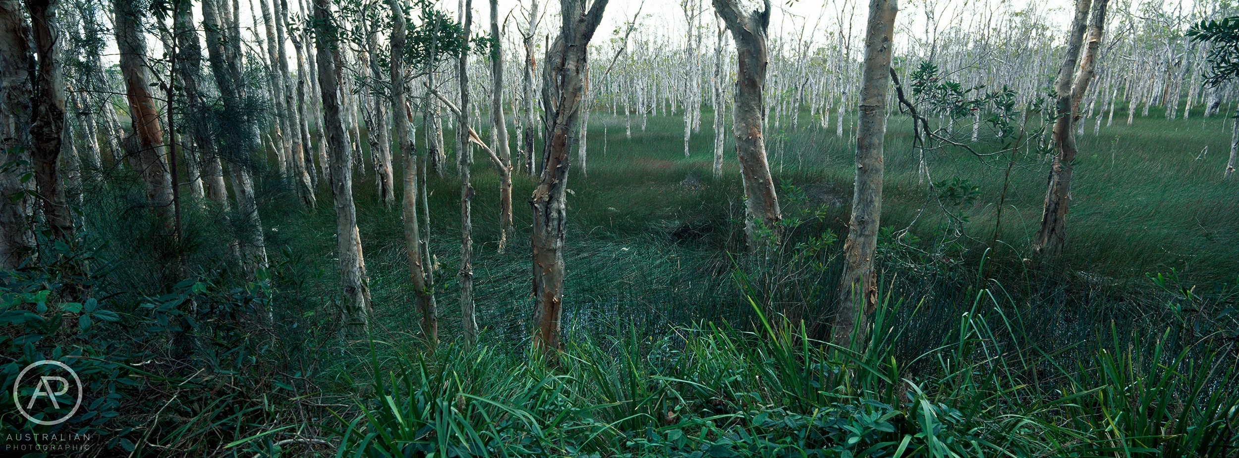 FUJIFILM VELVIA 50 18 AP.jpg