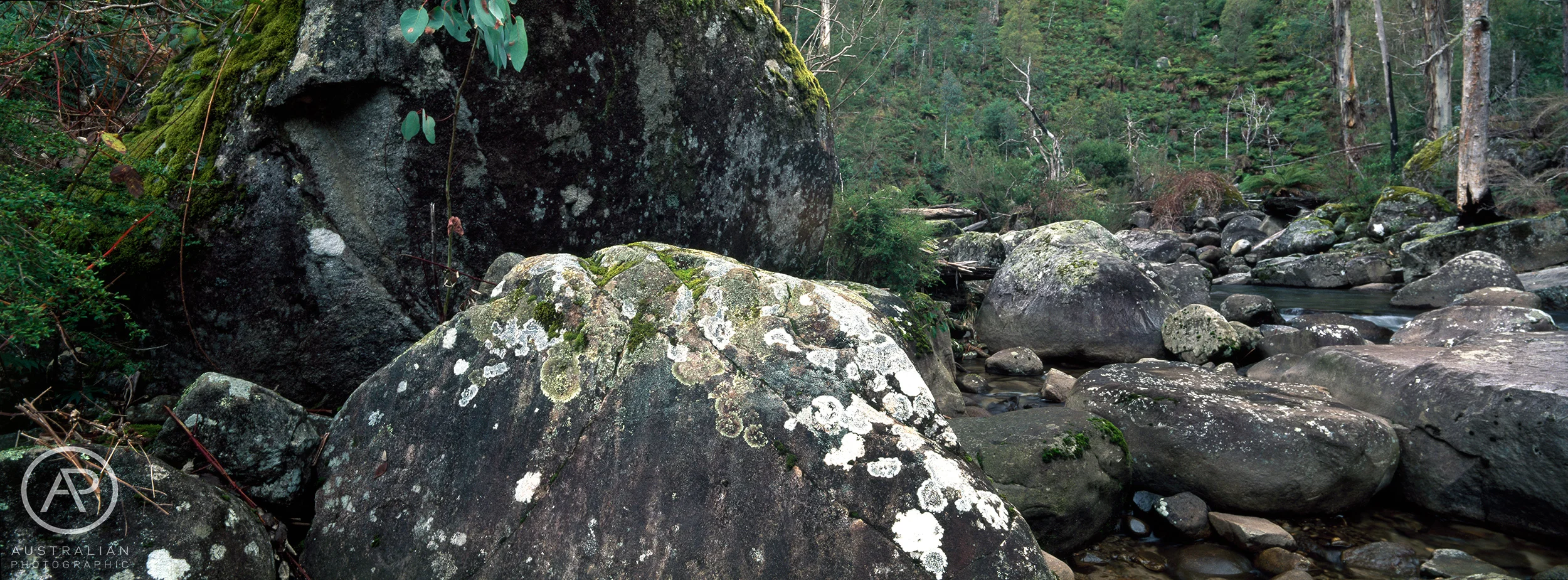 FUJIFILM VELVIA 50 33 AP.jpg