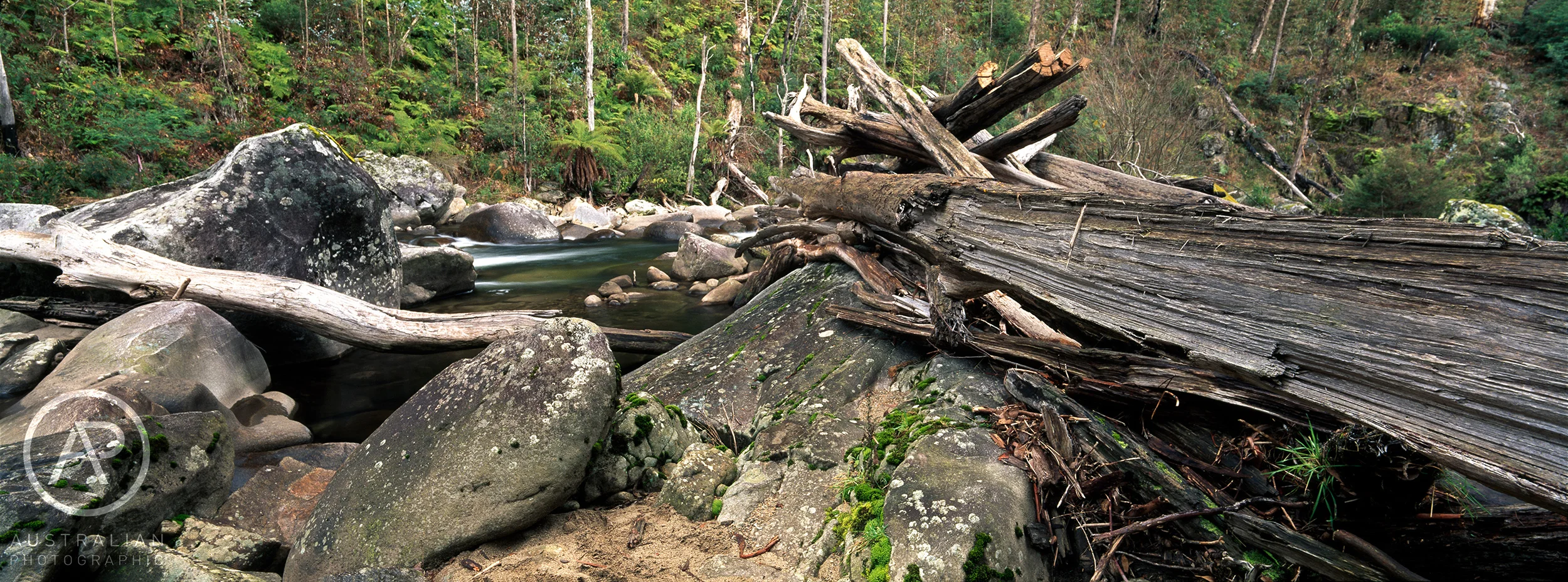 FUJIFILM VELVIA 50 34 AP.jpg