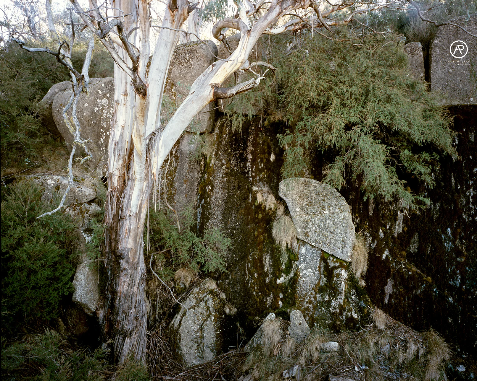 FUJIFILM VELVIA 100 28 AP.jpg