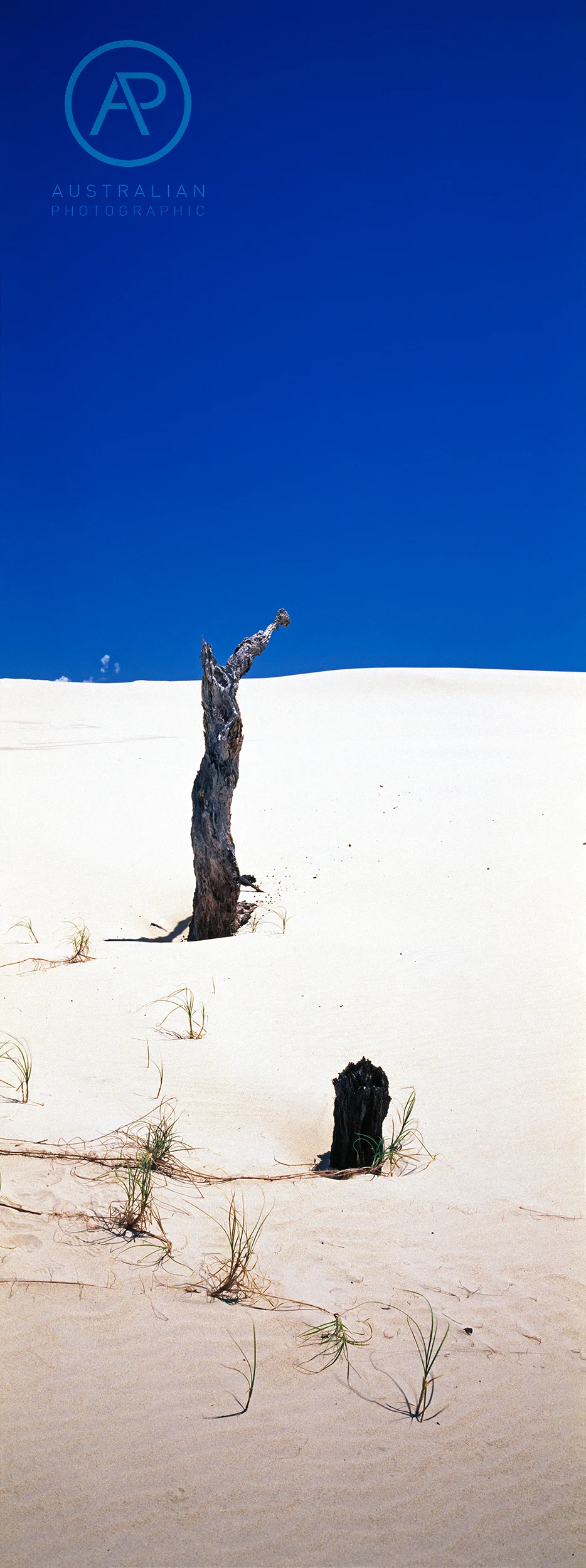 FUJIFILM VELVIA 50 06 AP.jpg