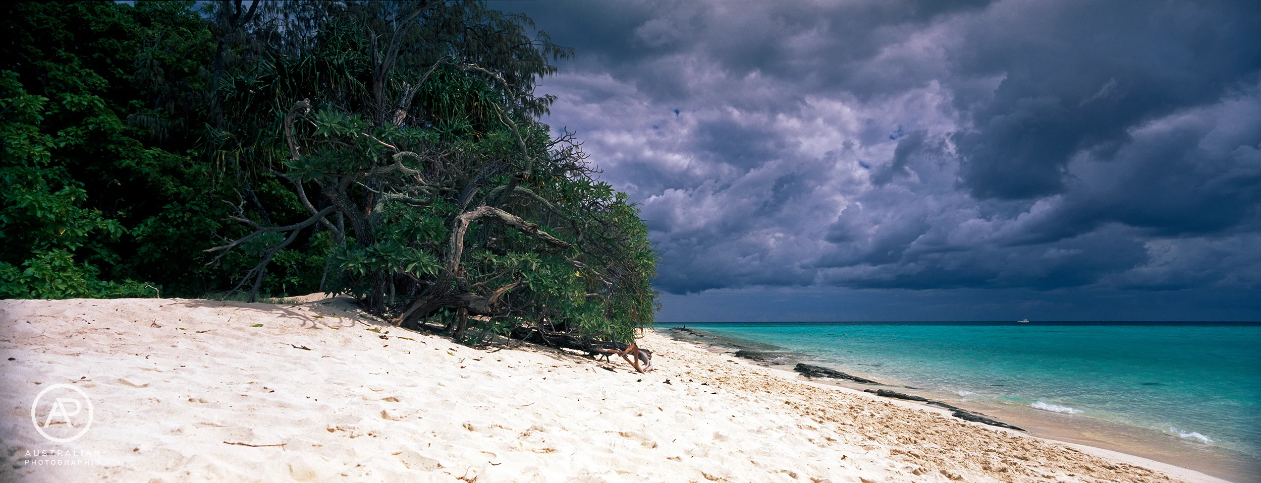 FUJIFILM VELVIA 50 22 AP.jpg