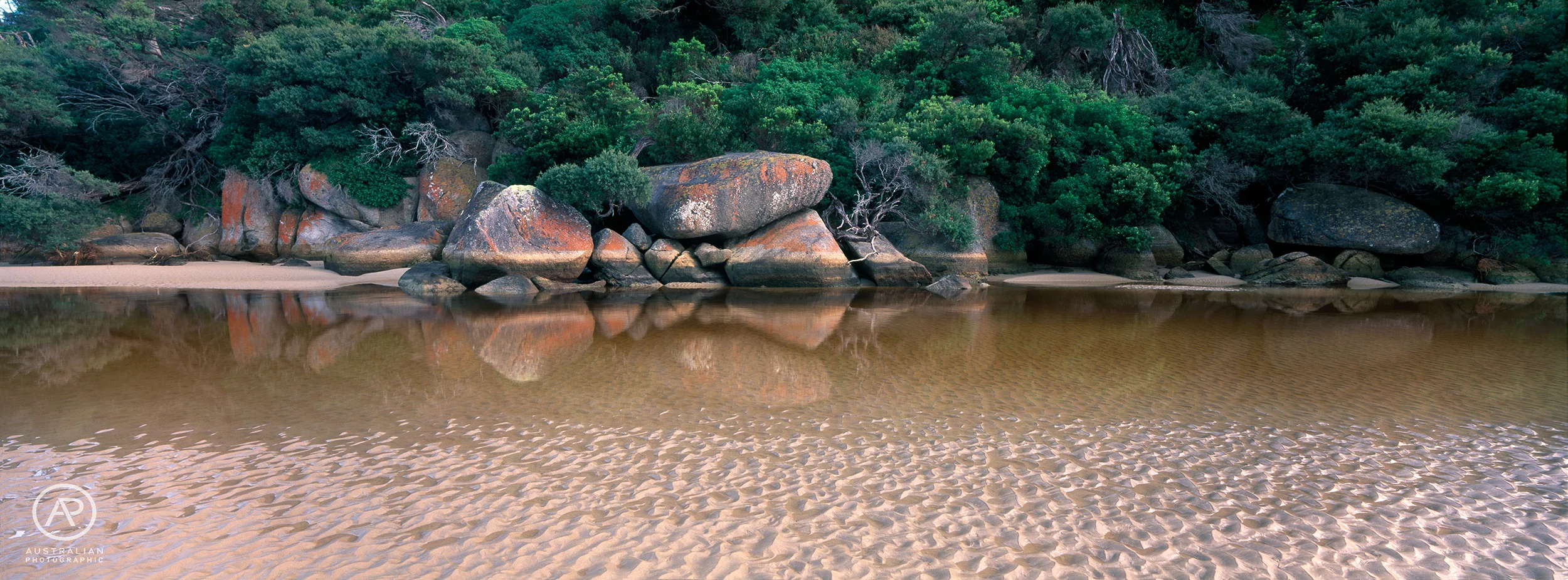 FUJIFILM VELVIA 50 27 AP.jpg