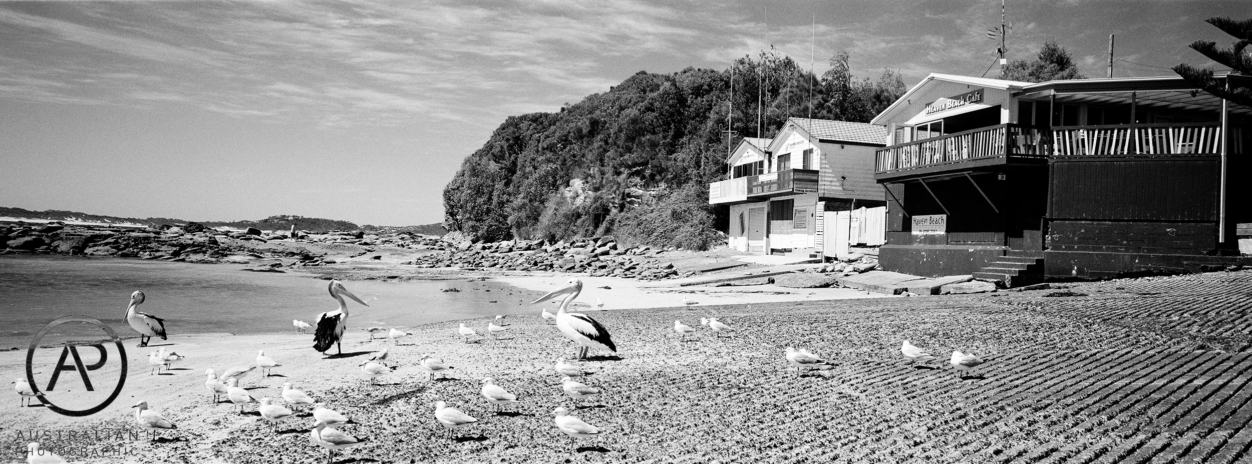 KODAK TMAX 400 04 AP.jpg