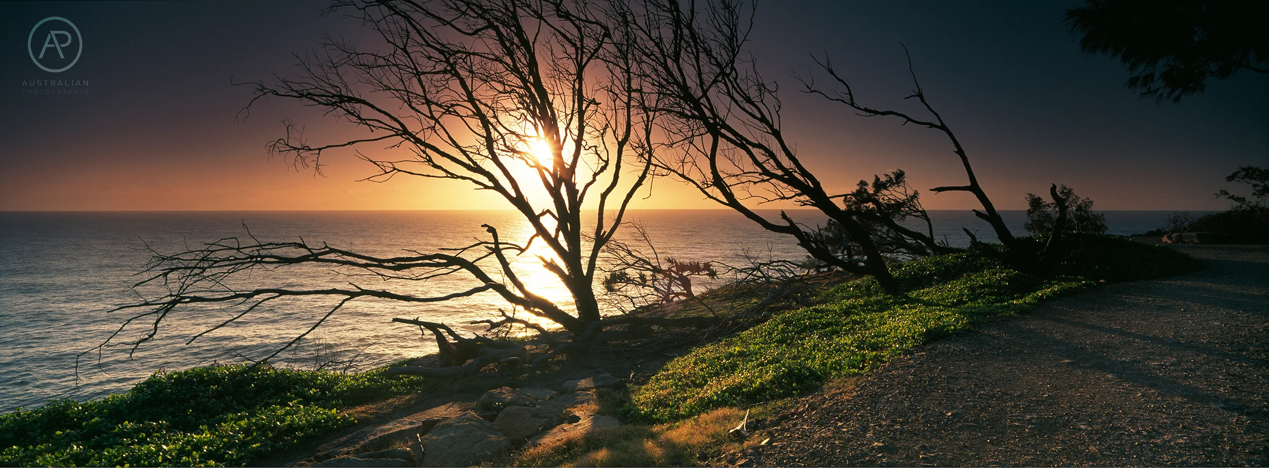FUJIFILM VELVIA 50 23 AP.jpg