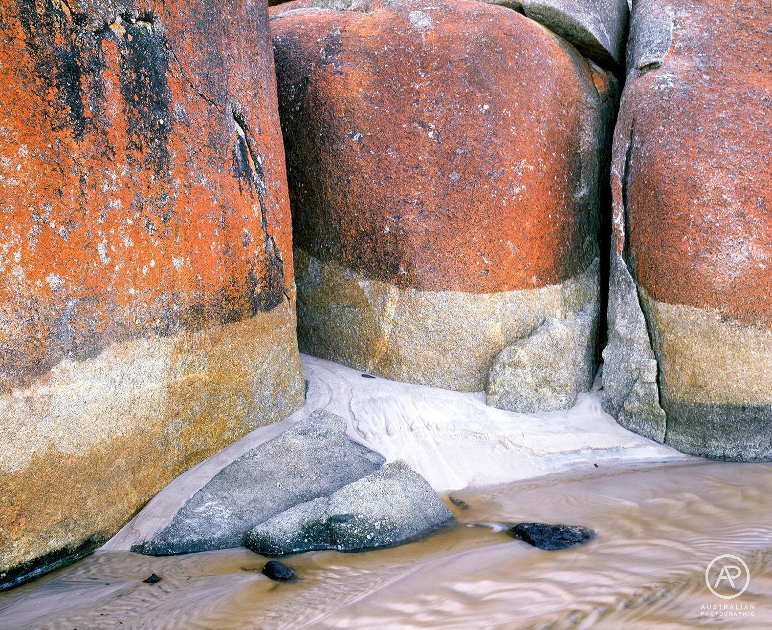 FUJIFILM VELVIA 50 45 AP.jpg