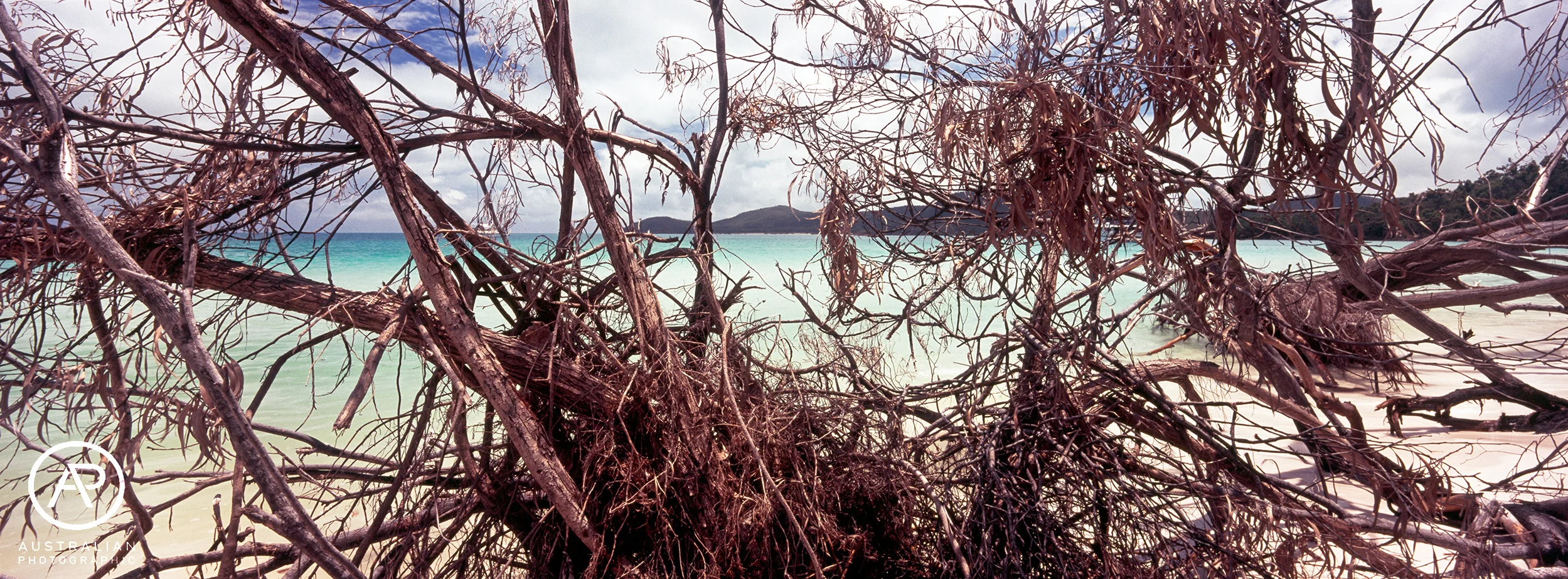 FUJIFILM VELVIA 100 48 xpan AP.jpg