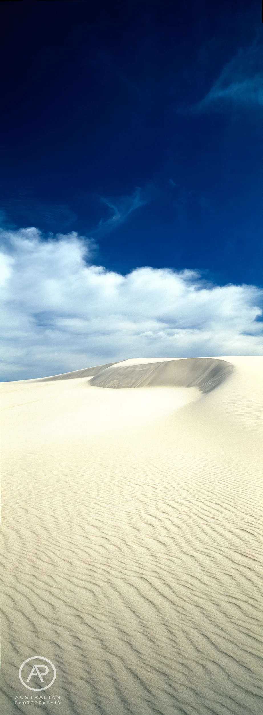FUJIFILM VELVIA 50 19 AP.jpg