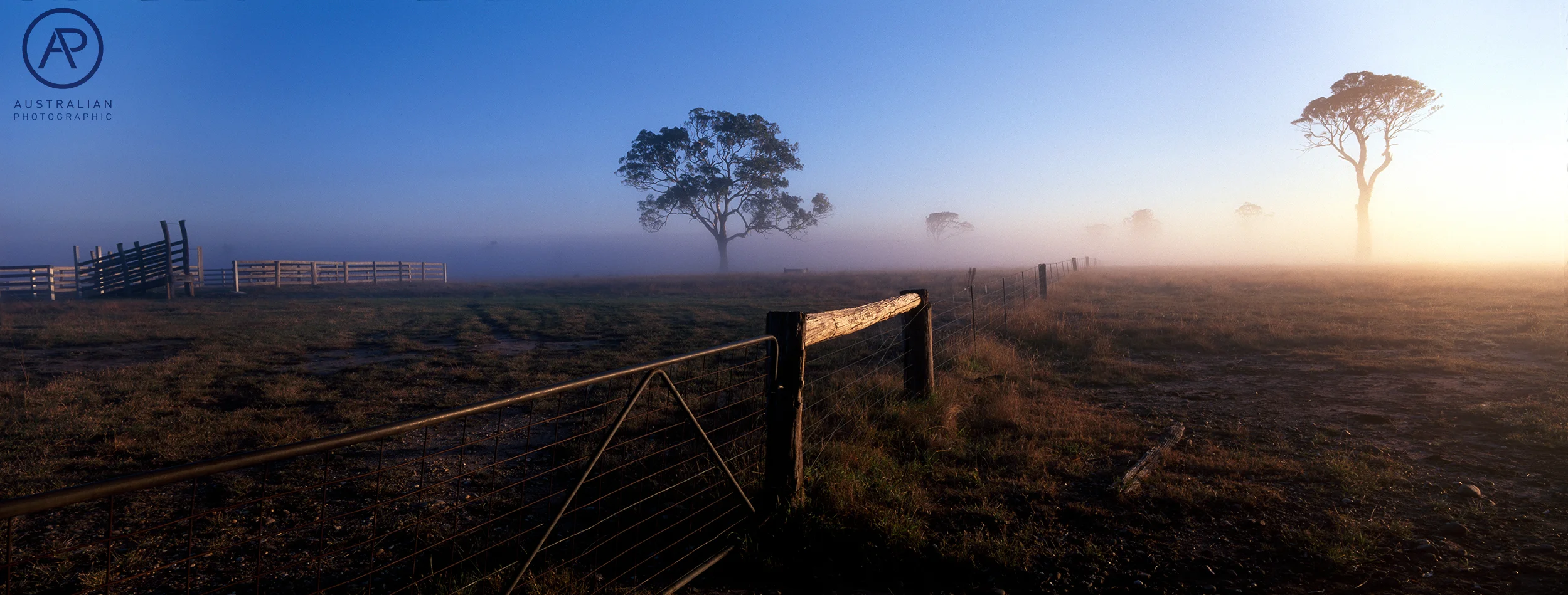FUJIFILM VELVIA 50 29 AP.jpg
