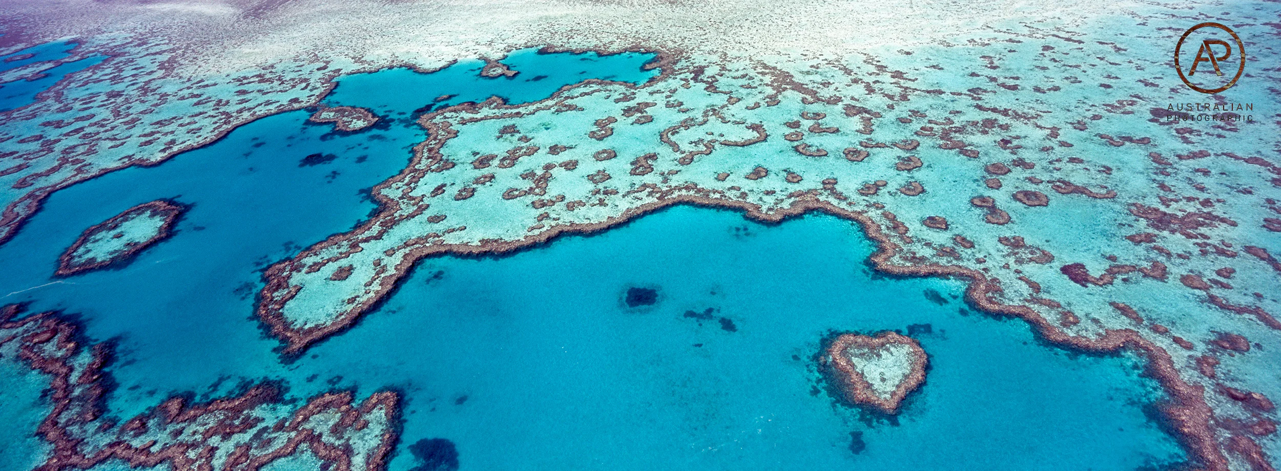 FUJIFILM VELVIA 100 37 xpan AP.jpg