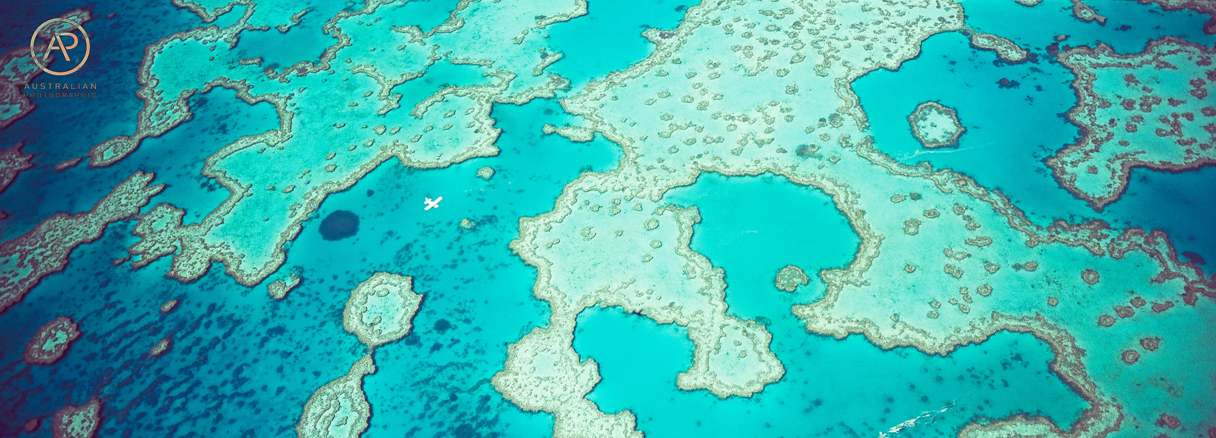FUJIFILM VELVIA 100 44 xpan AP.jpg