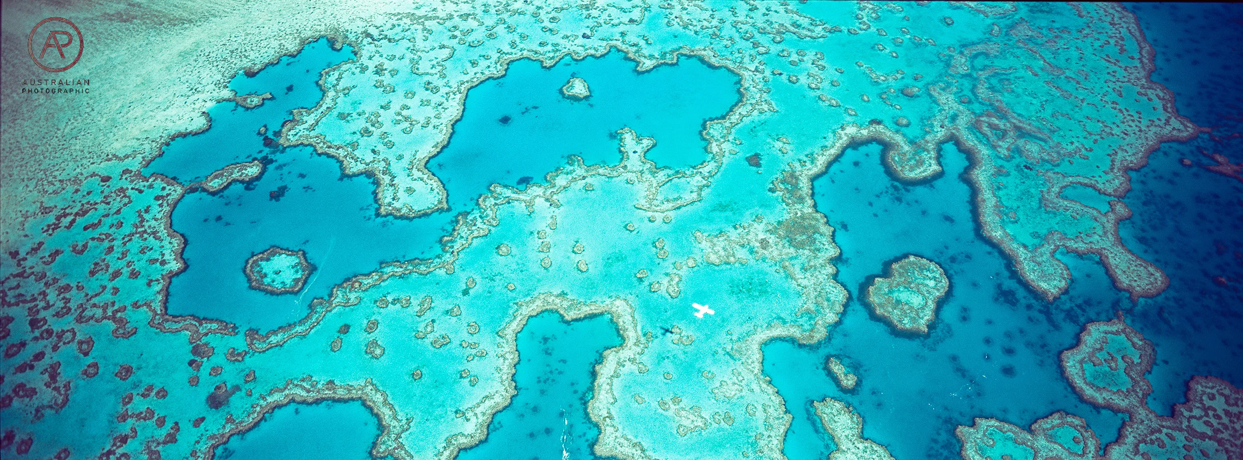 FUJIFILM VELVIA 100 49 xpan AP.jpg