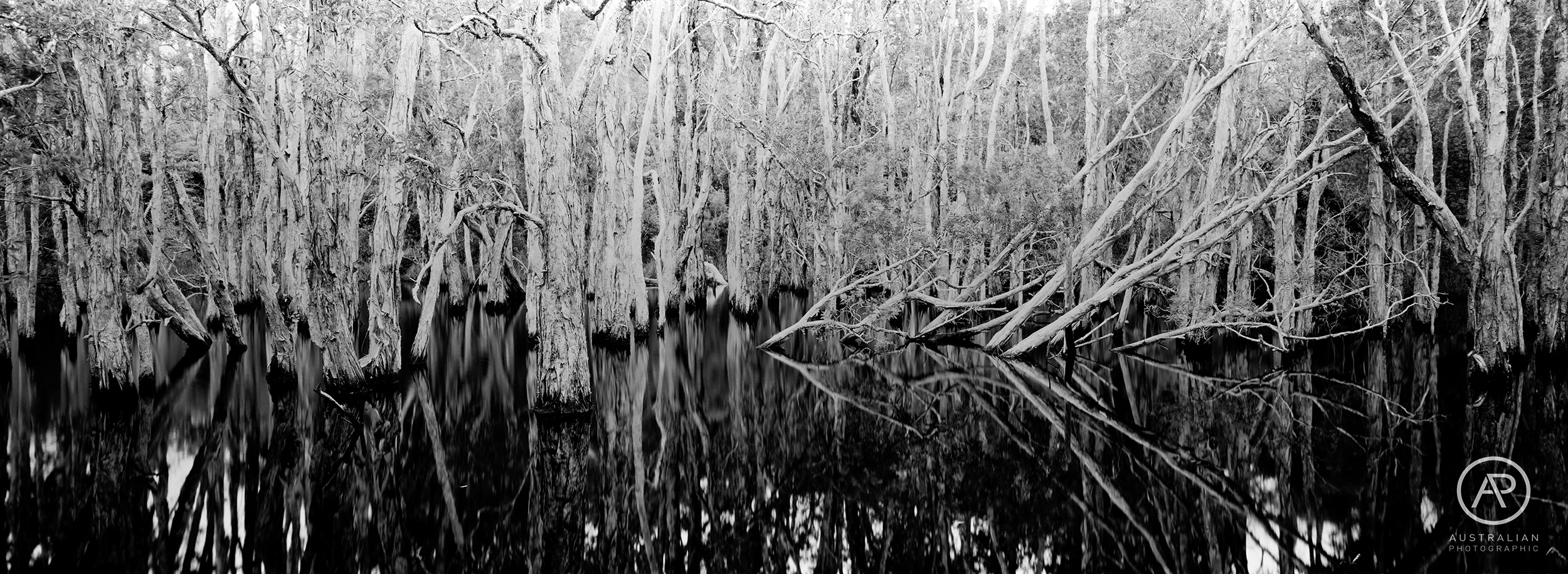 ADOX CMS 20 02 AP.jpg