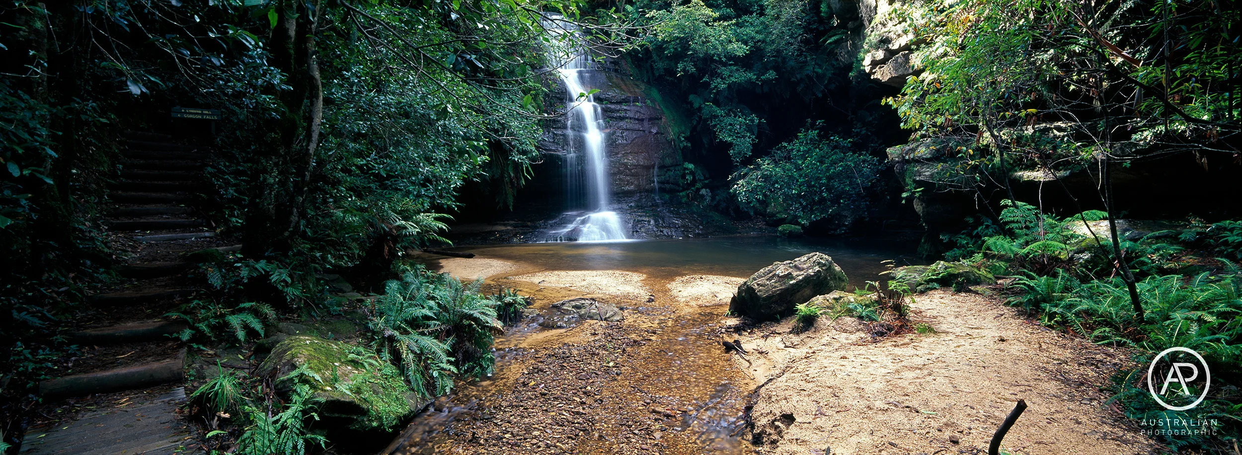 FUJIFILM VELVIA 50 41 AP.jpg