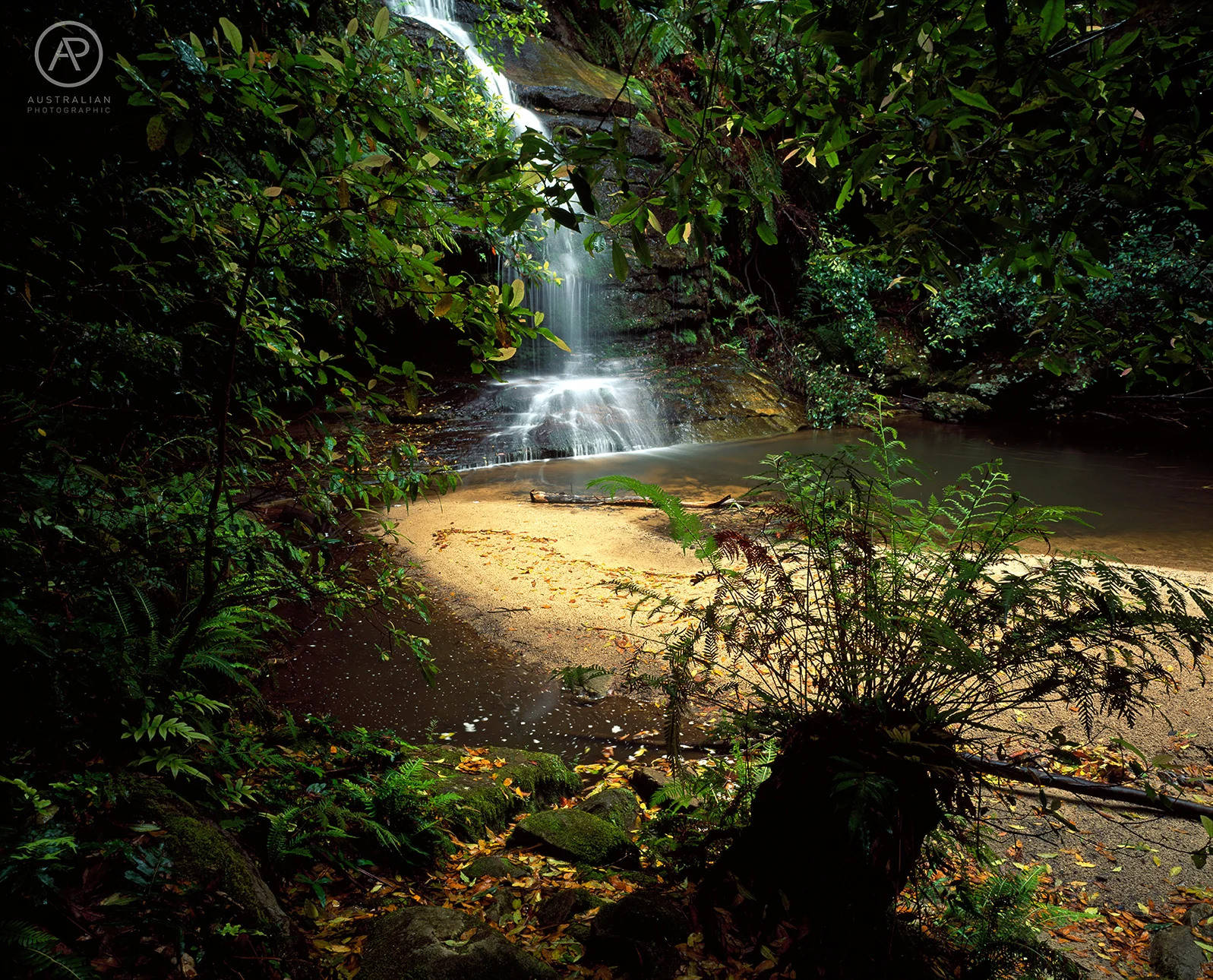 FUJIFILM VELVIA 50 43 AP.jpg