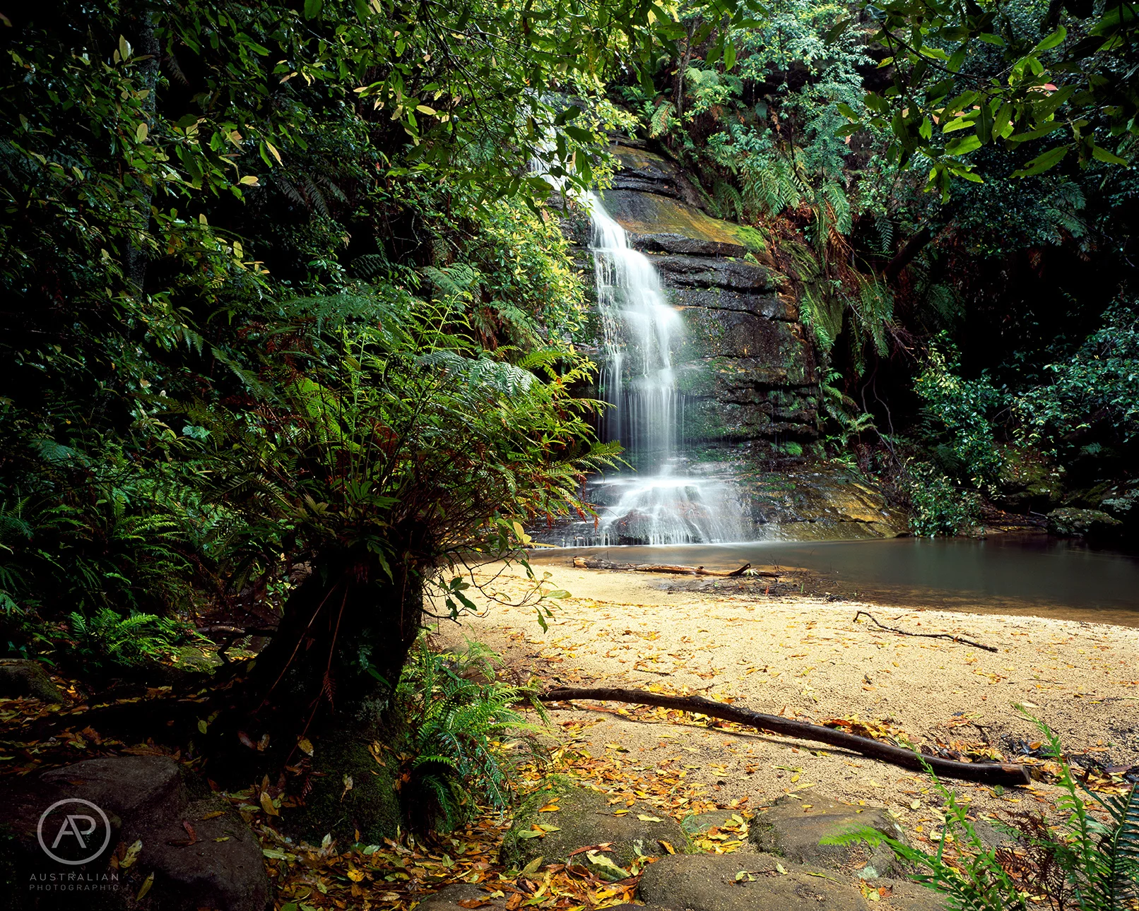 FUJIFILM VELVIA 50 44 AP.jpg