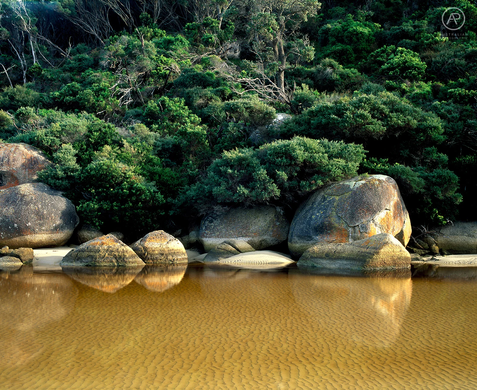 FUJIFILM VELVIA 50 45a AP.jpg