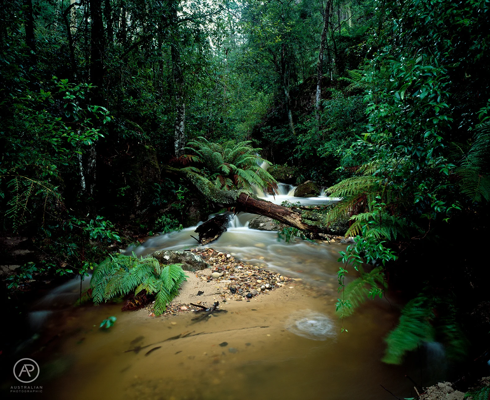 FUJIFILM VELVIA 50 53 AP.jpg