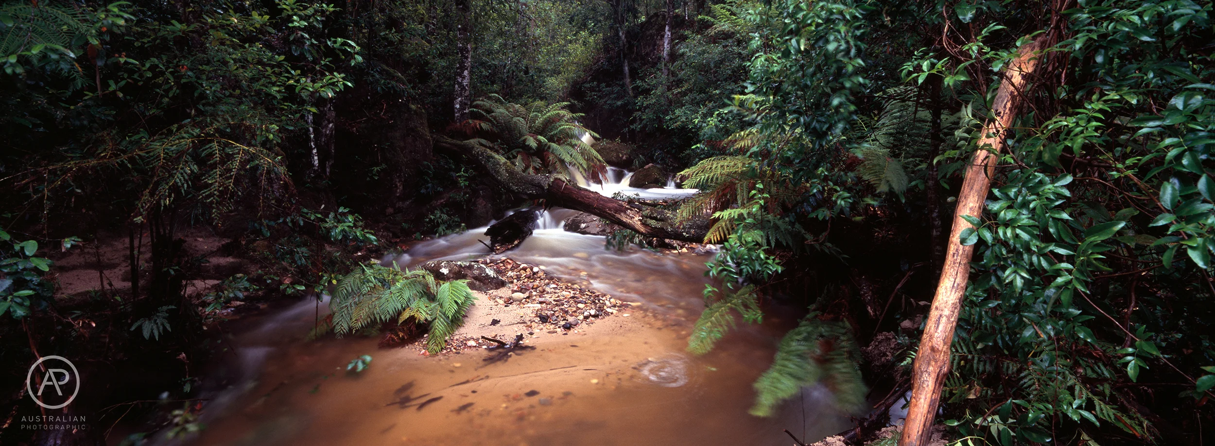 FUJIFILM VELVIA 100 05 AP.jpg