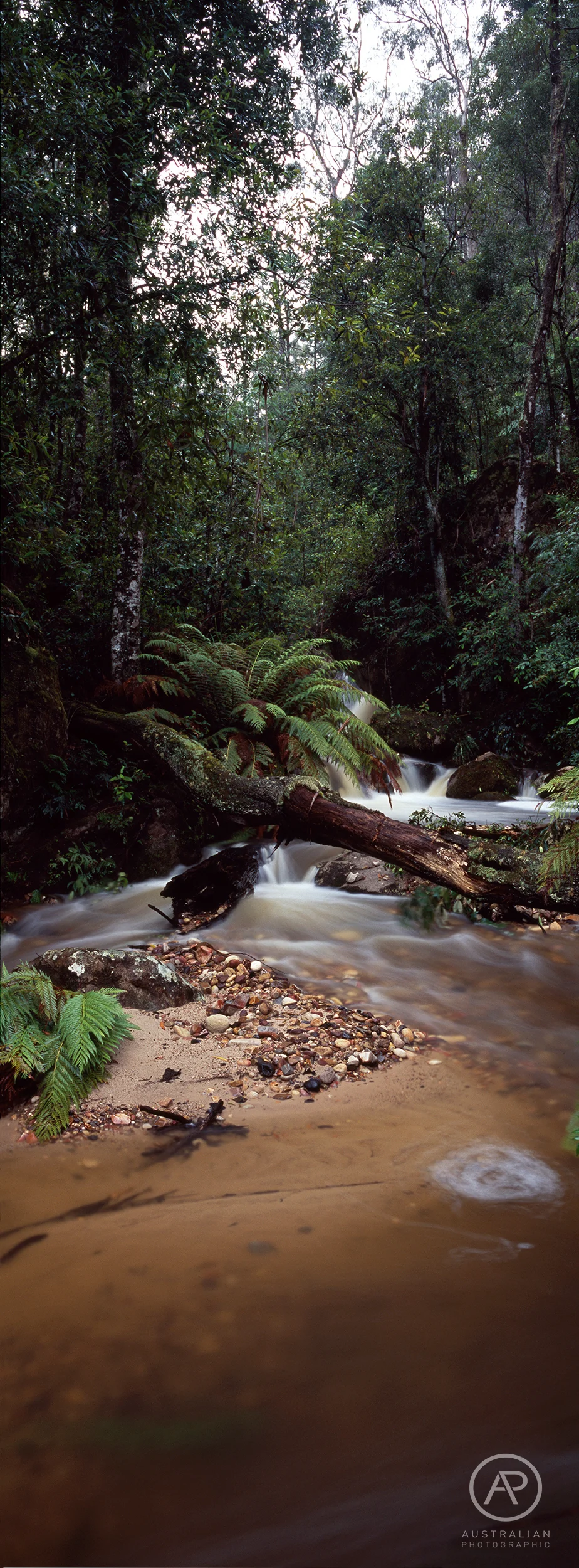 FUJIFILM VELVIA 100 06 AP.jpg