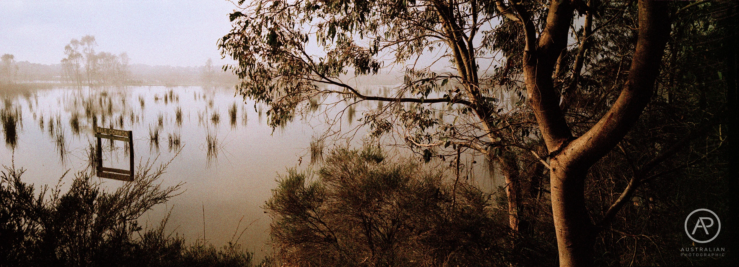 ROLLEI CROSSBIRD 03 AP.jpg