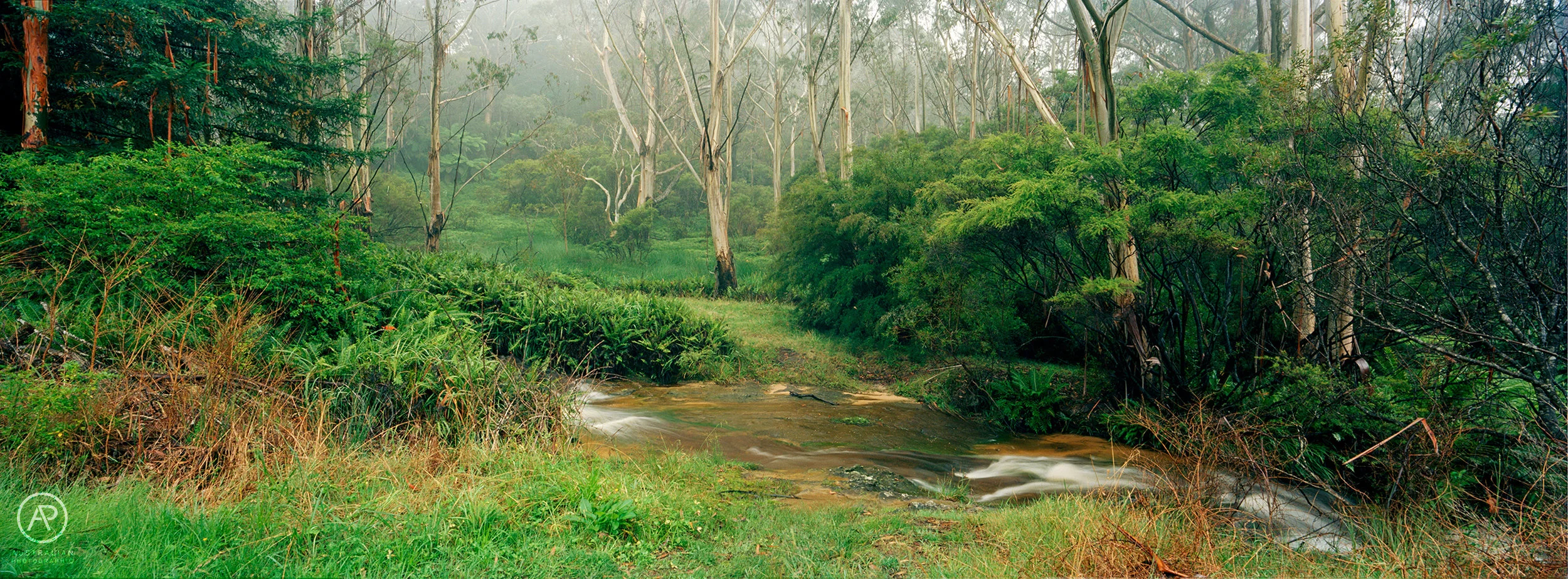 KODAK EKTAR 100 12 AP.jpg