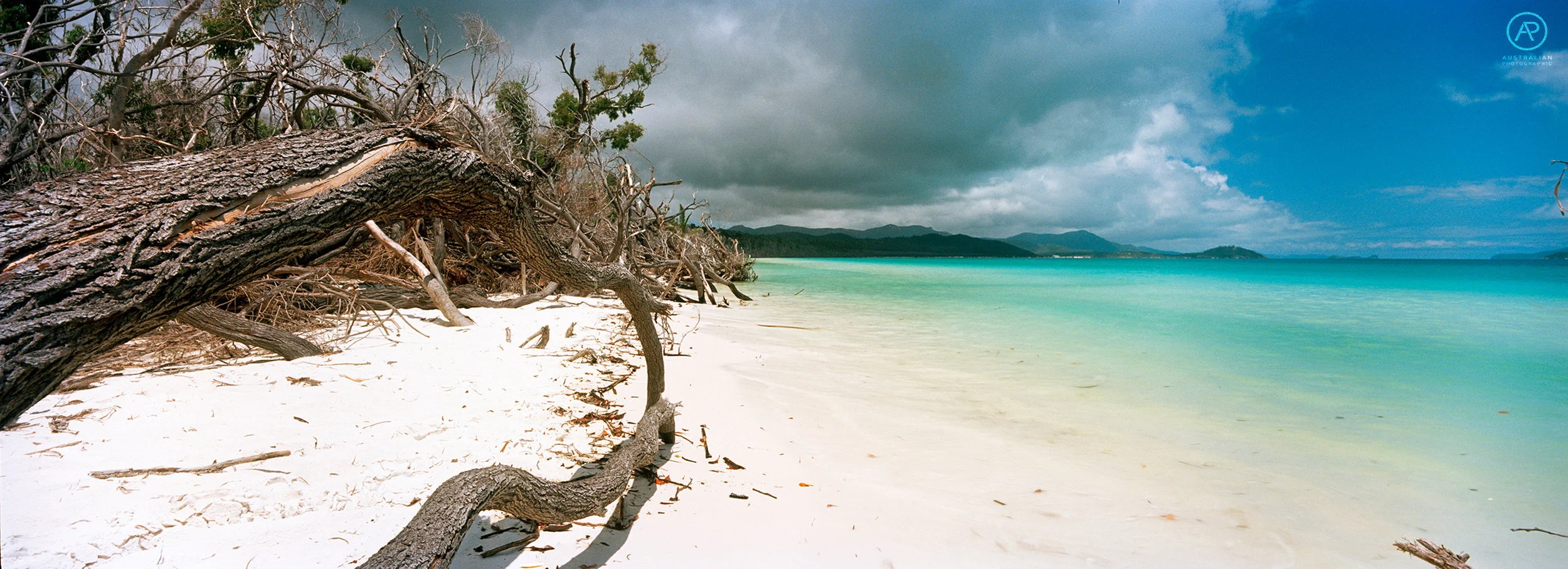KODAK EKTAR 100 17 AP.jpg
