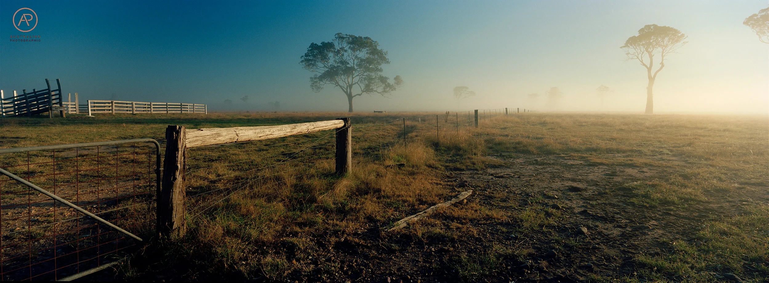 KODAK EKTAR 100 11 AP.jpg