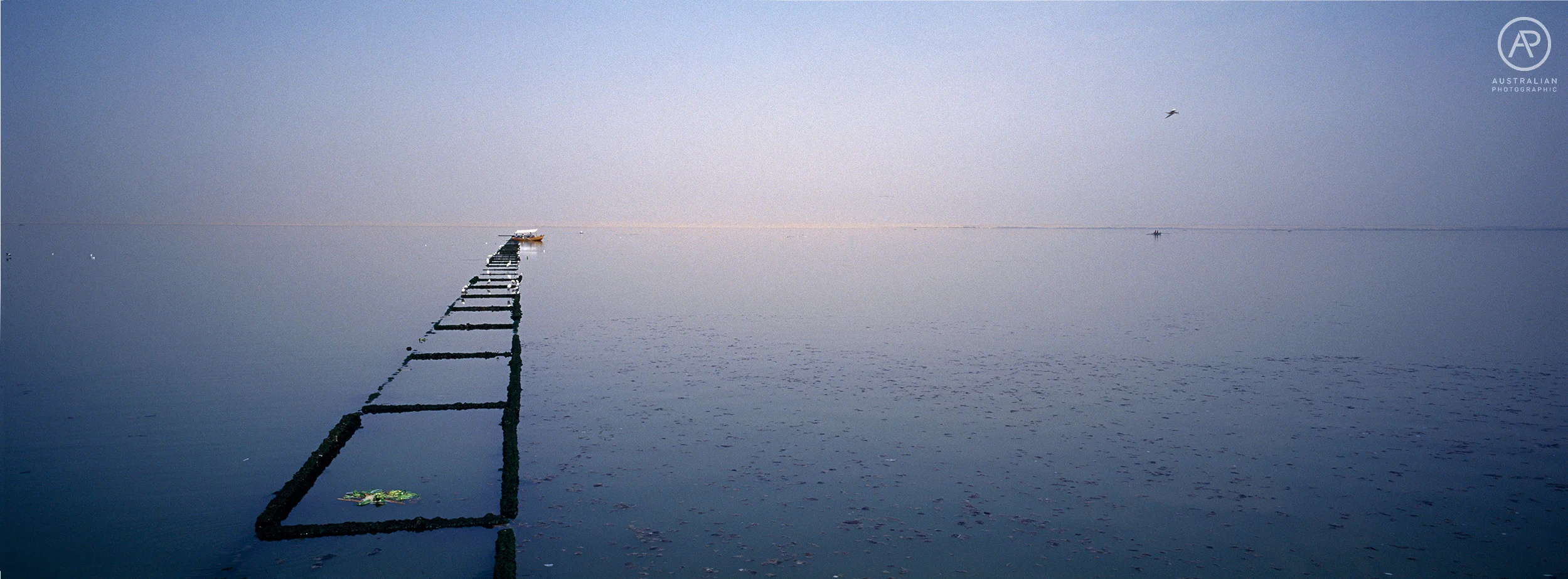 KODAK E100VS 29 AP.jpg