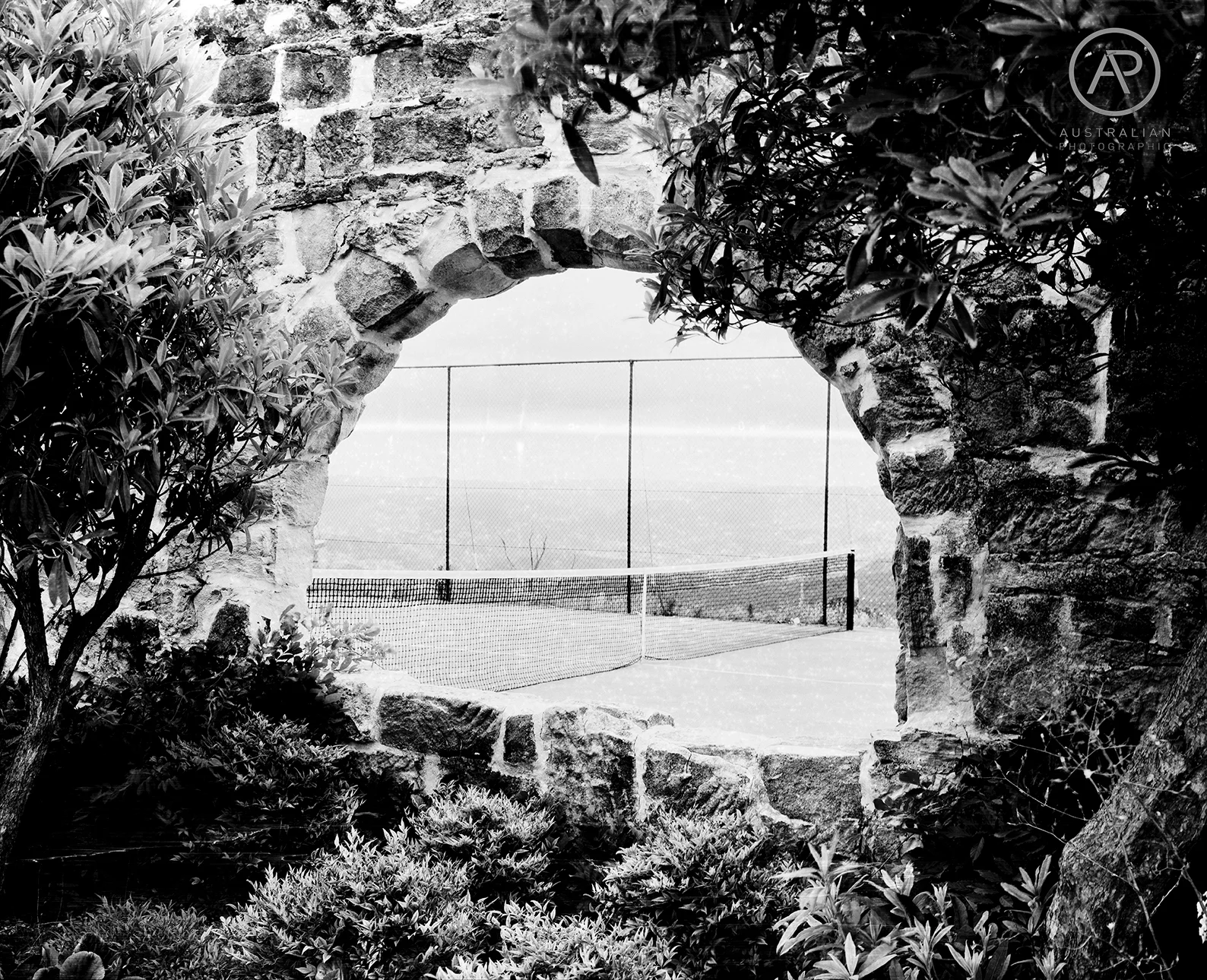 ROLLEI ATP 1.1 06 AP.jpg