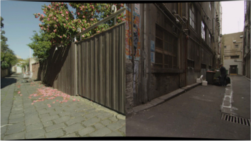 Image courtesy the artist and Anna Schwartz Gallery. Daniel Crooks Pan no.10 (neither here nor there) 2012