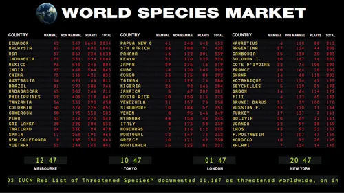 Debbie Symons, World Species Market, 2014 Image courtesy the artist Debbie Symons World Species Market 2014