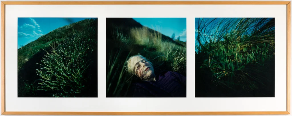 Image courtesy of the artist Marzena Wasikowska Study for a Forensic Landscape 2000