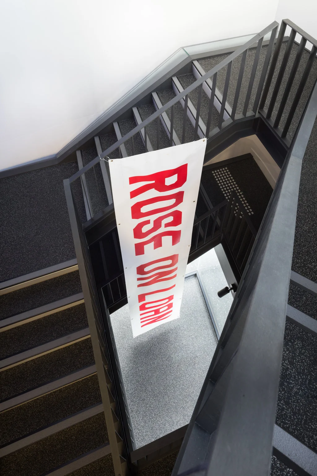 Image courtesy of the artist. Photo: James Morgan Mitchel Cumming Rose On Loan 2015