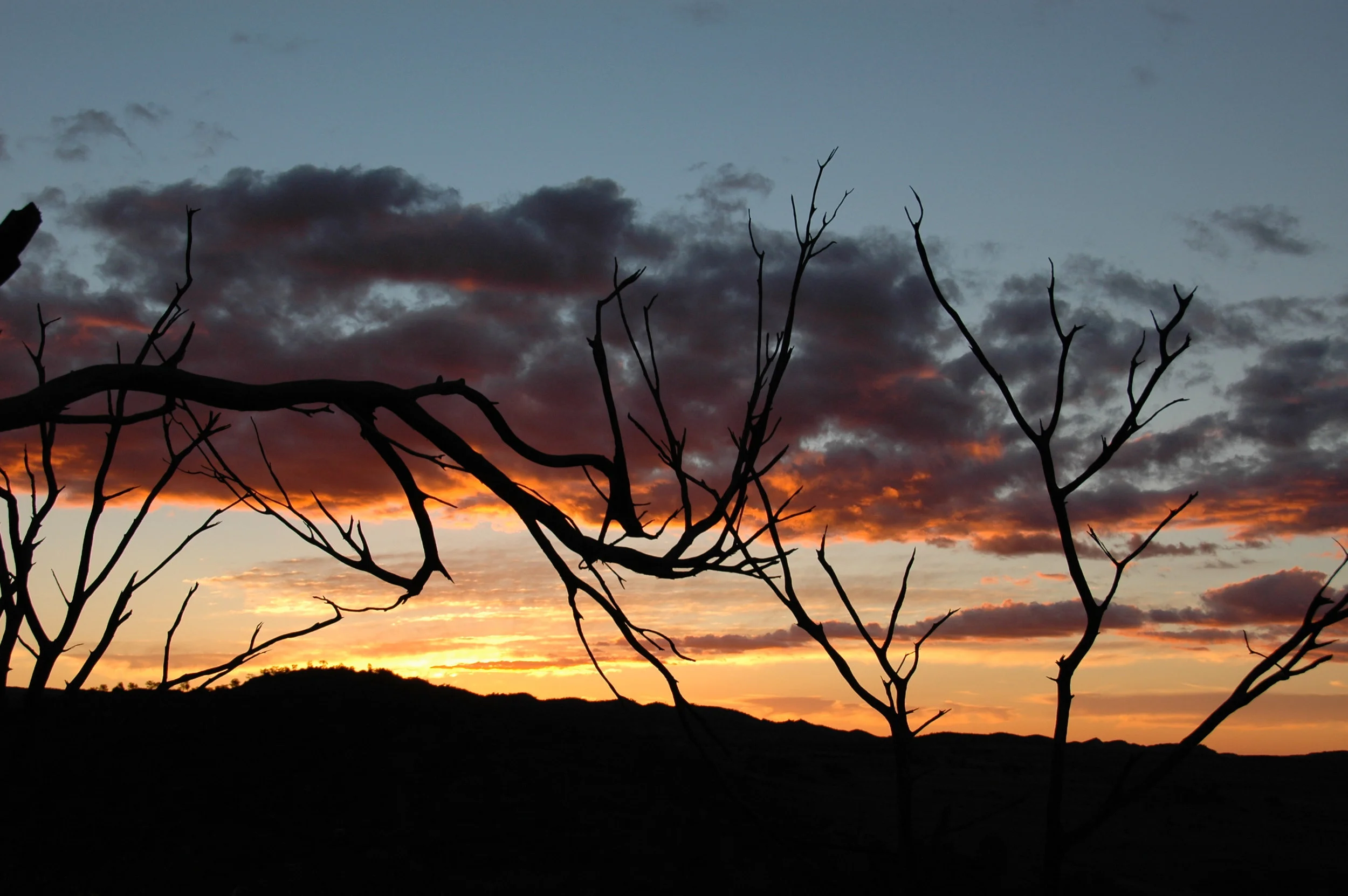 Outback Ochres - 28.jpg