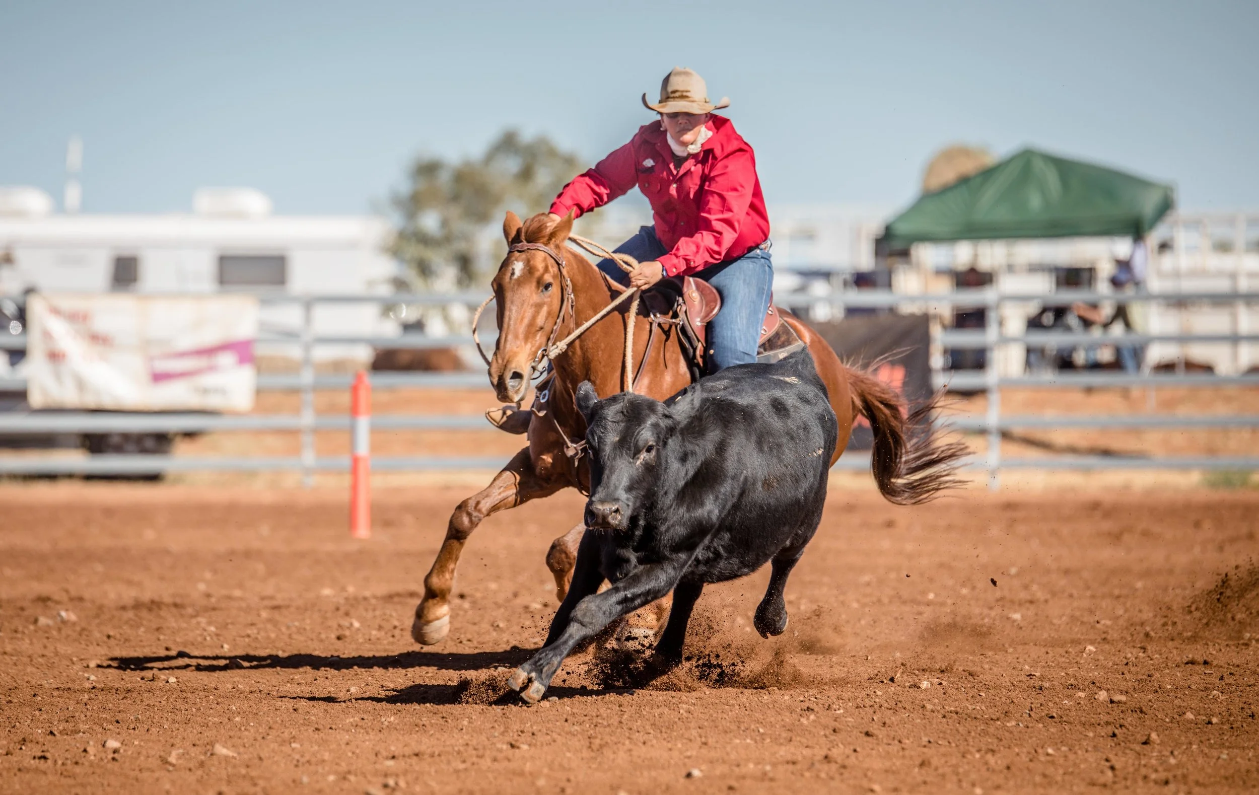 Nominations to Open For One Of Australia’s Greatest Horse Events