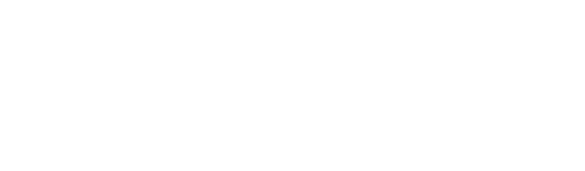 Cathy Meacham Hunt-logo-white (1).png