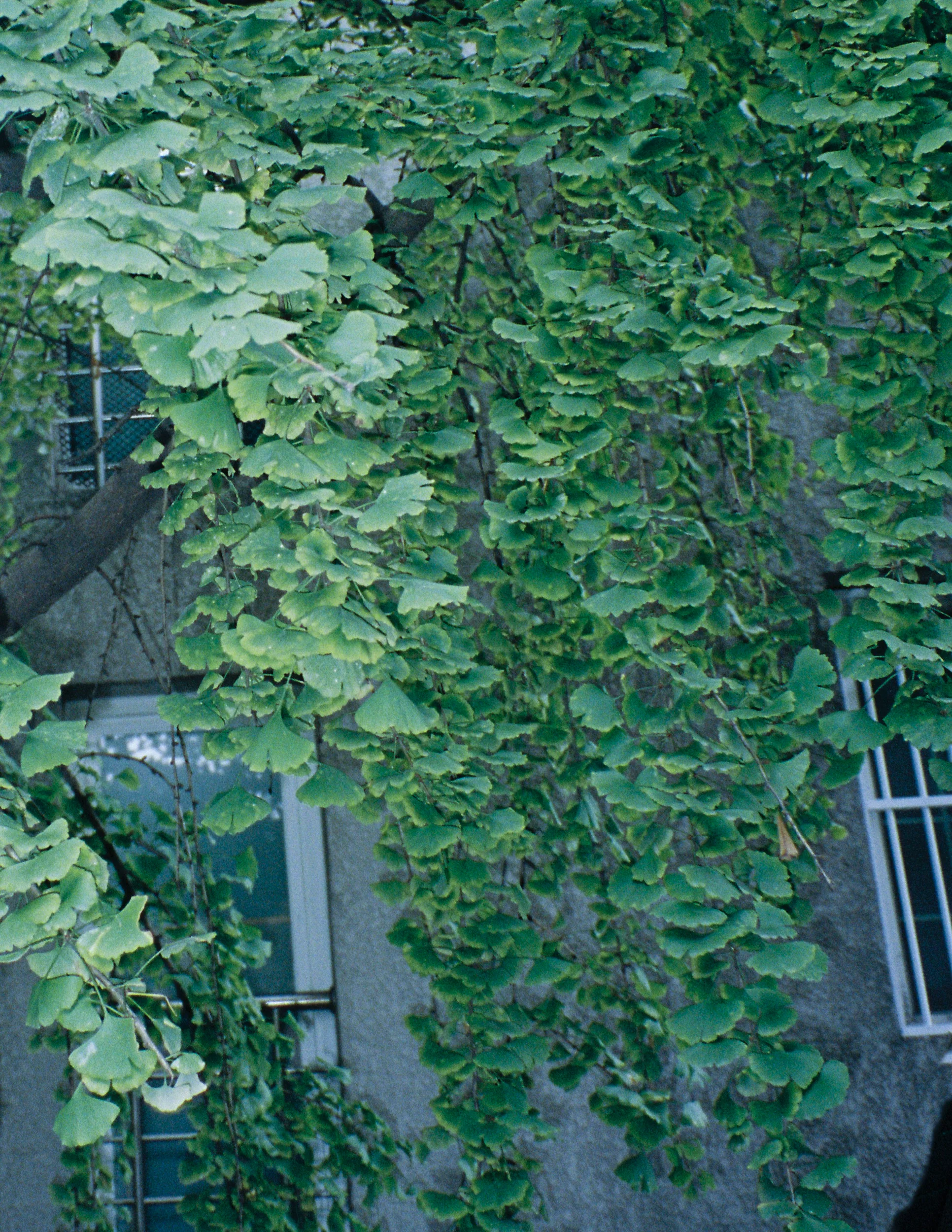 seoul_web-26.jpg