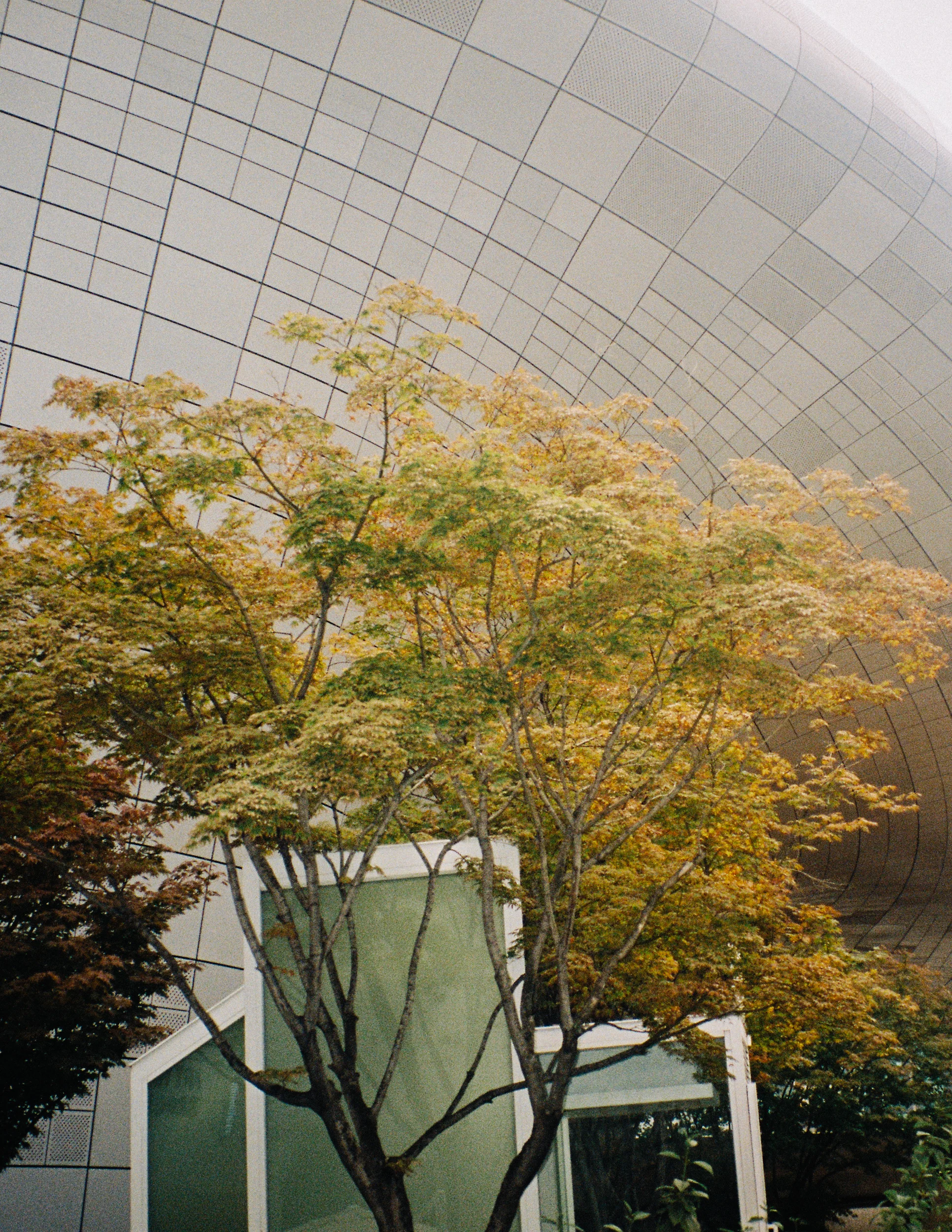 seoul_web-44.jpg