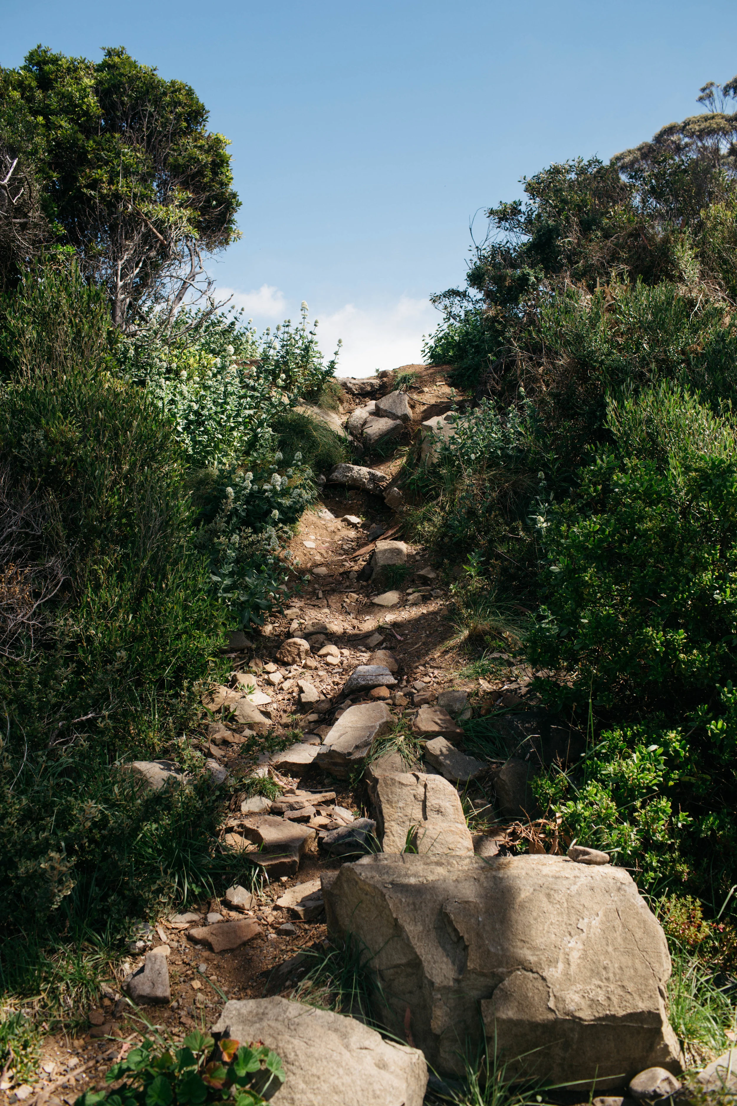 tasweb-10.jpg