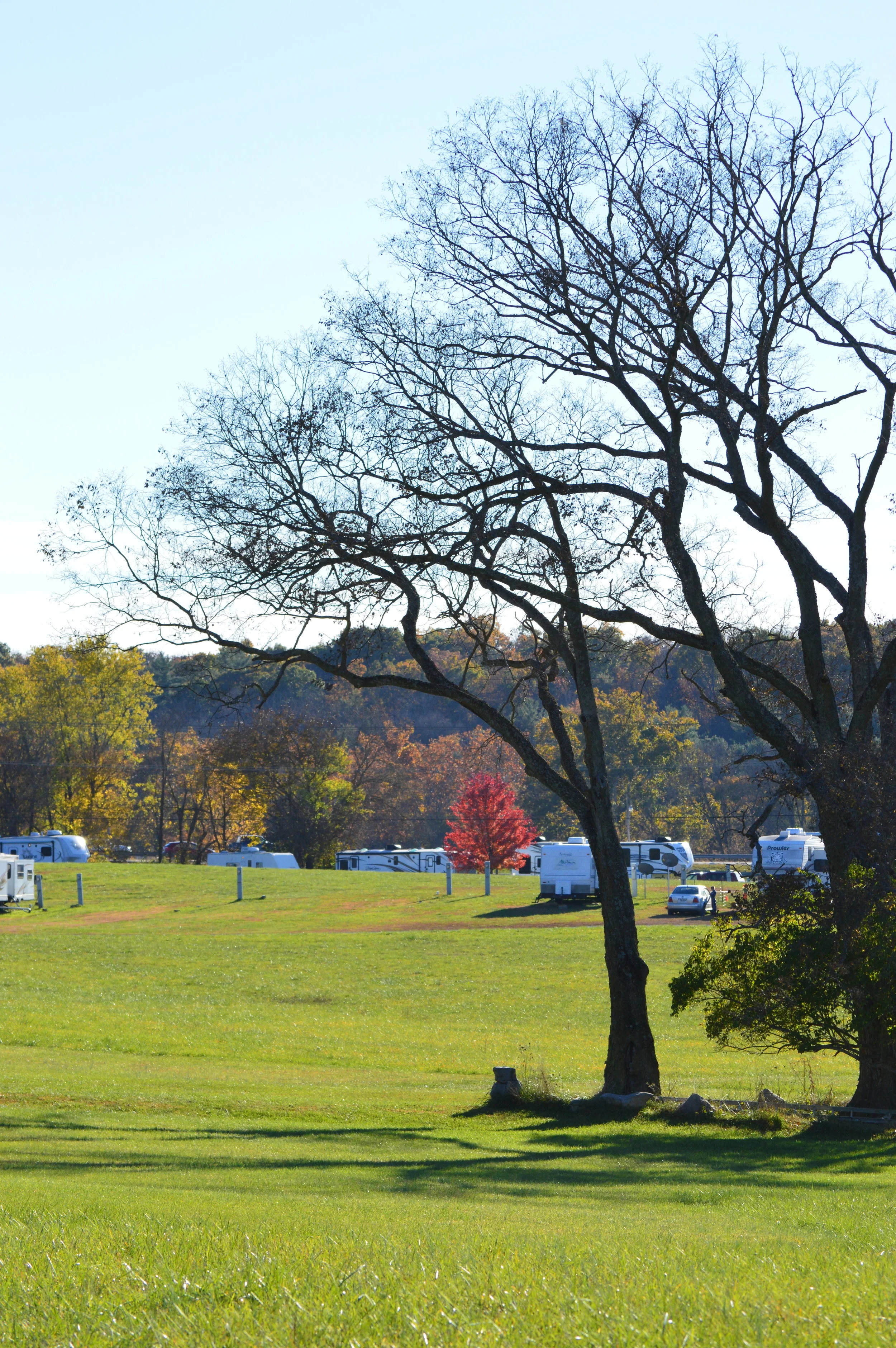 DSC_0225.JPG