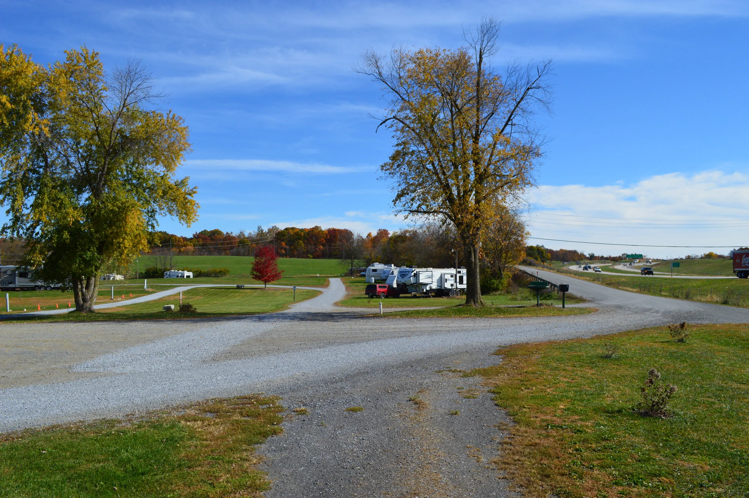 DSC_0333.JPG