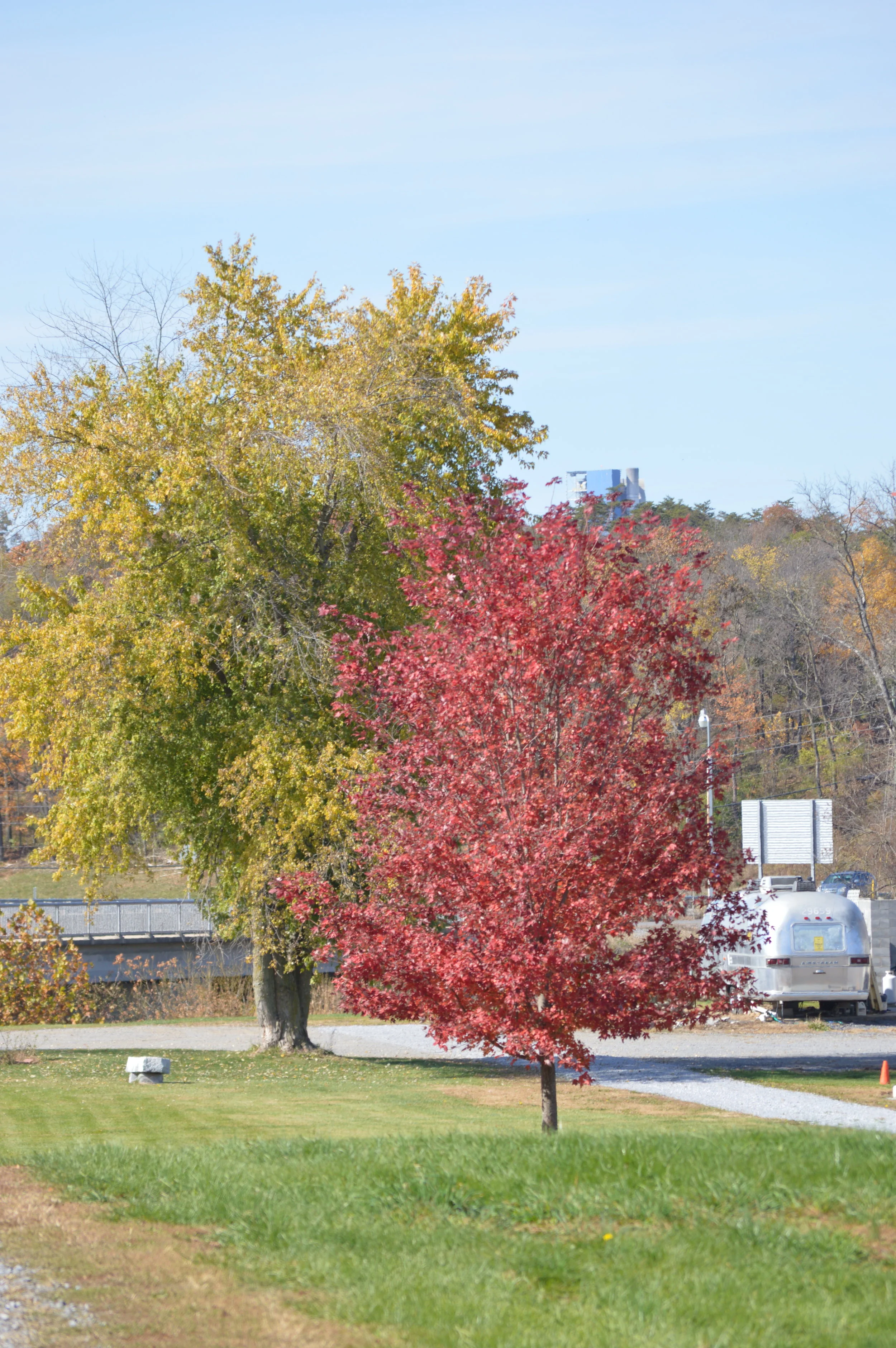 DSC_0260.JPG