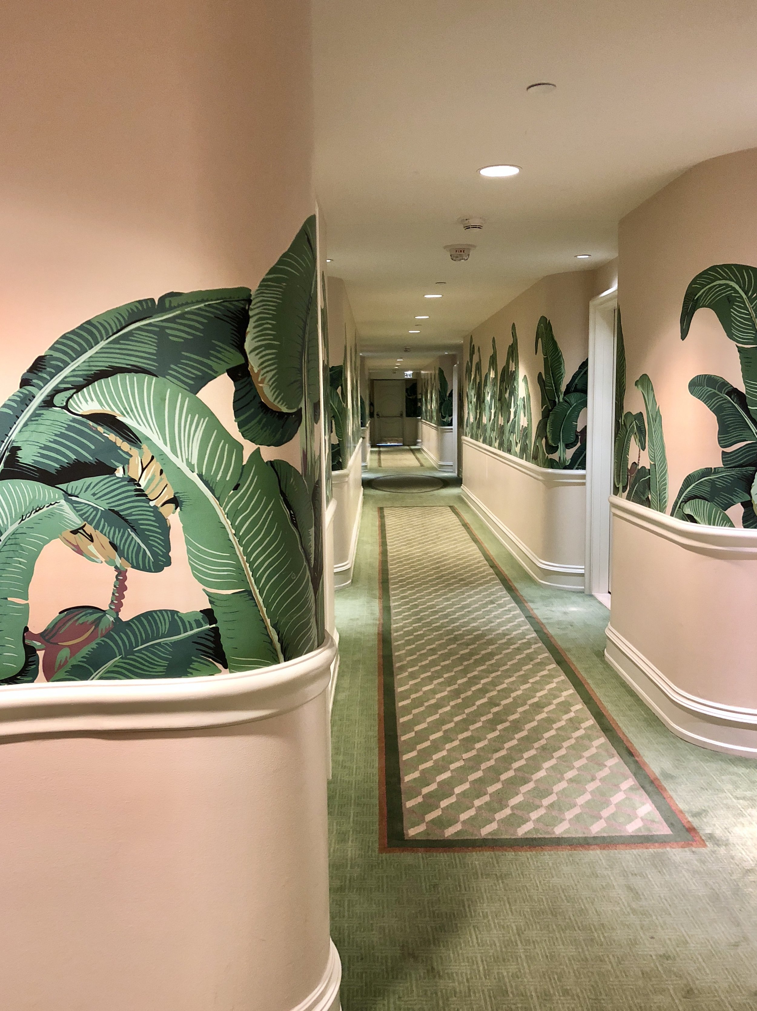 Authentic Martinique Wallpaper Beverly Hills Banana Leaf Wallpaper  Dutch  Hospital Luxury Lifestyle