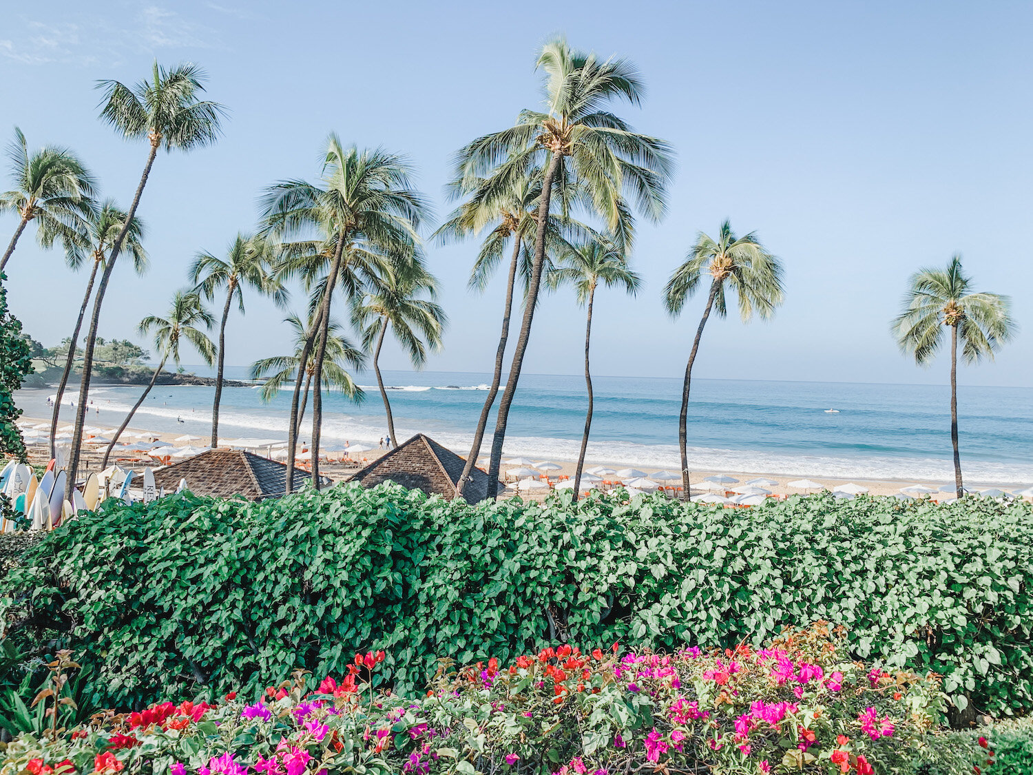 flower-beach-view.jpg